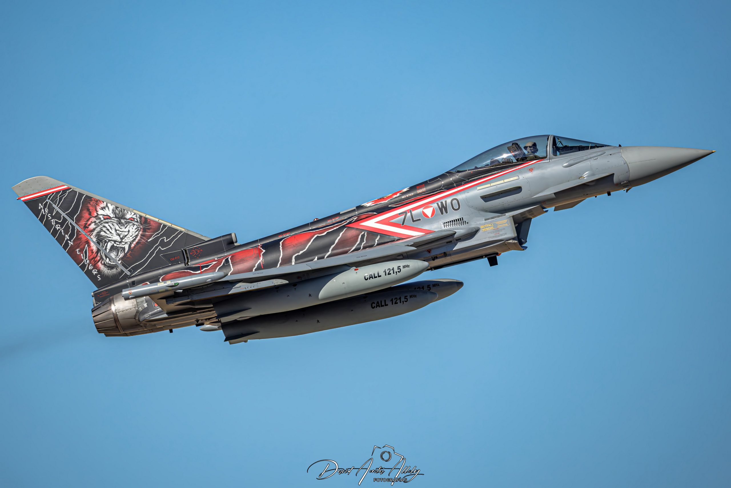 Nato Tiger Meet 2025