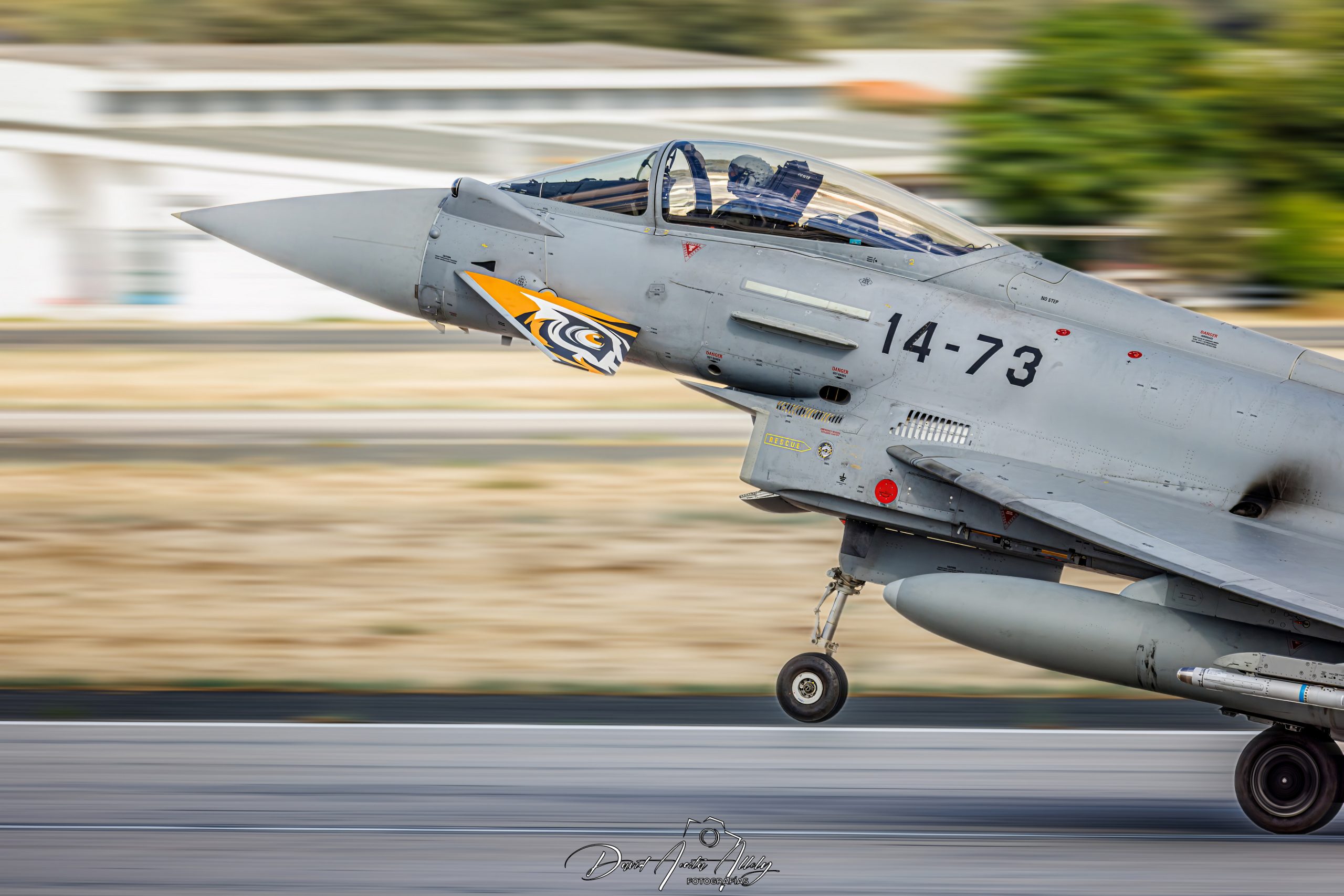 Nato Tiger Meet 2025