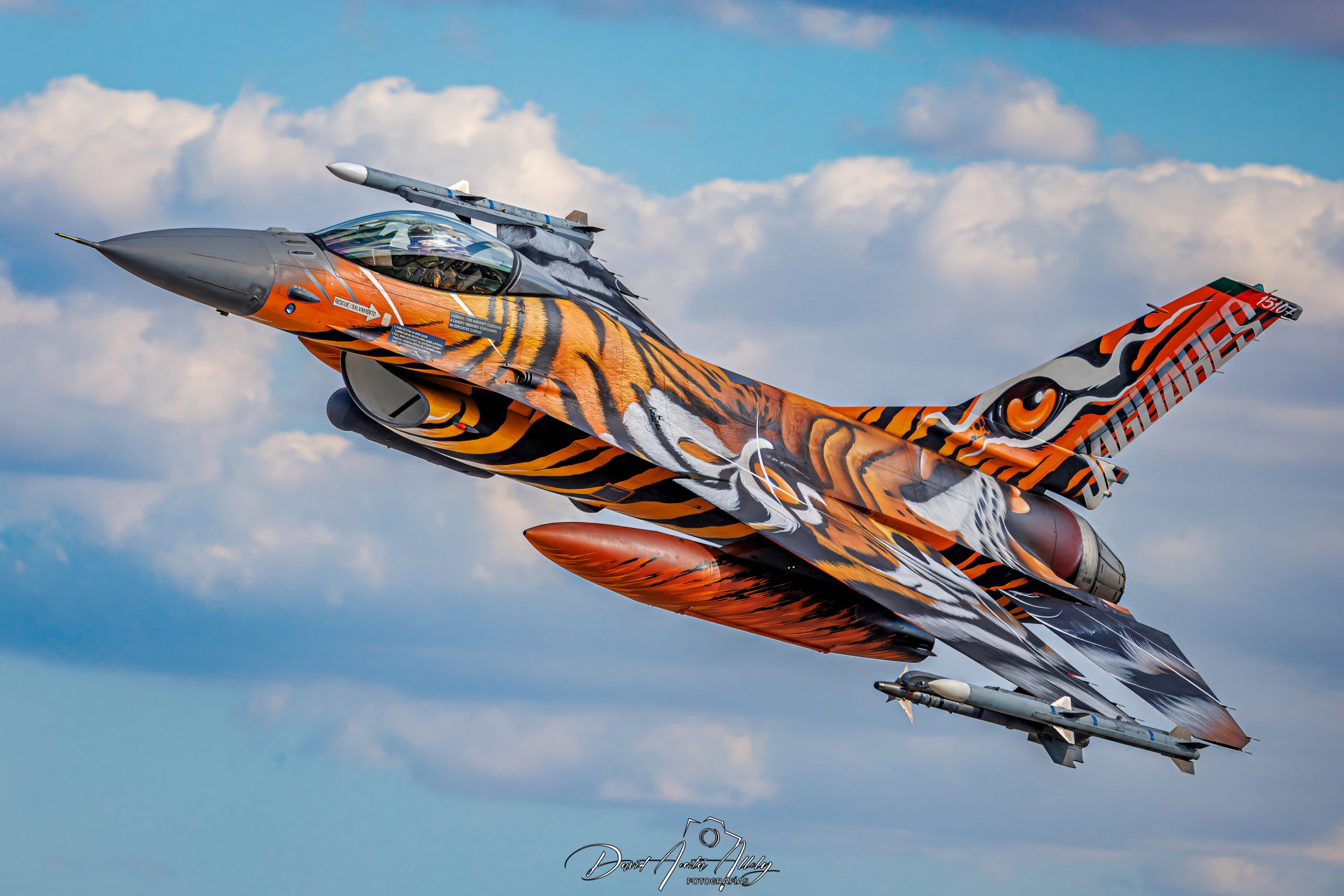 Nato Tiger Meet 2025