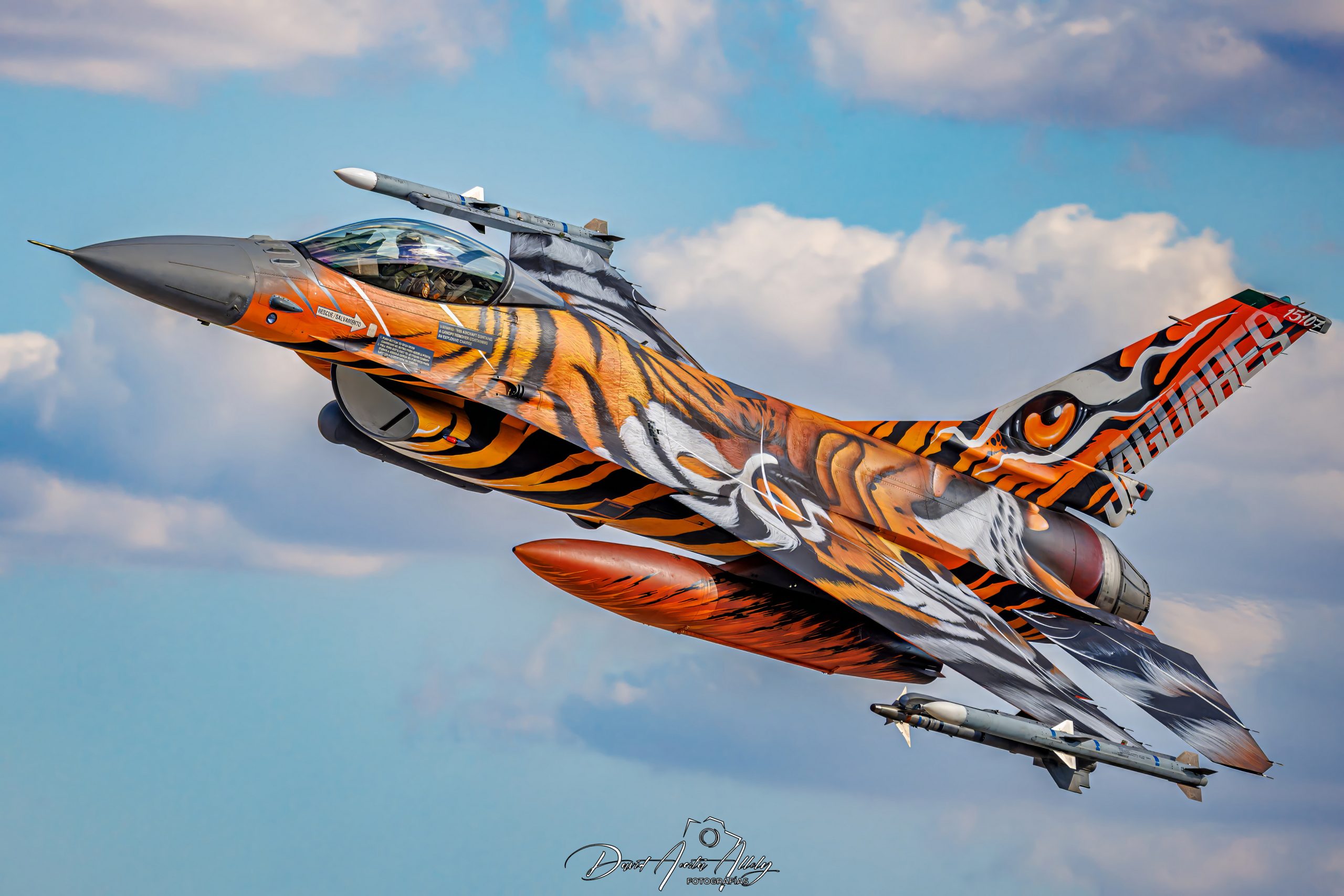 Nato Tiger Meet 2025