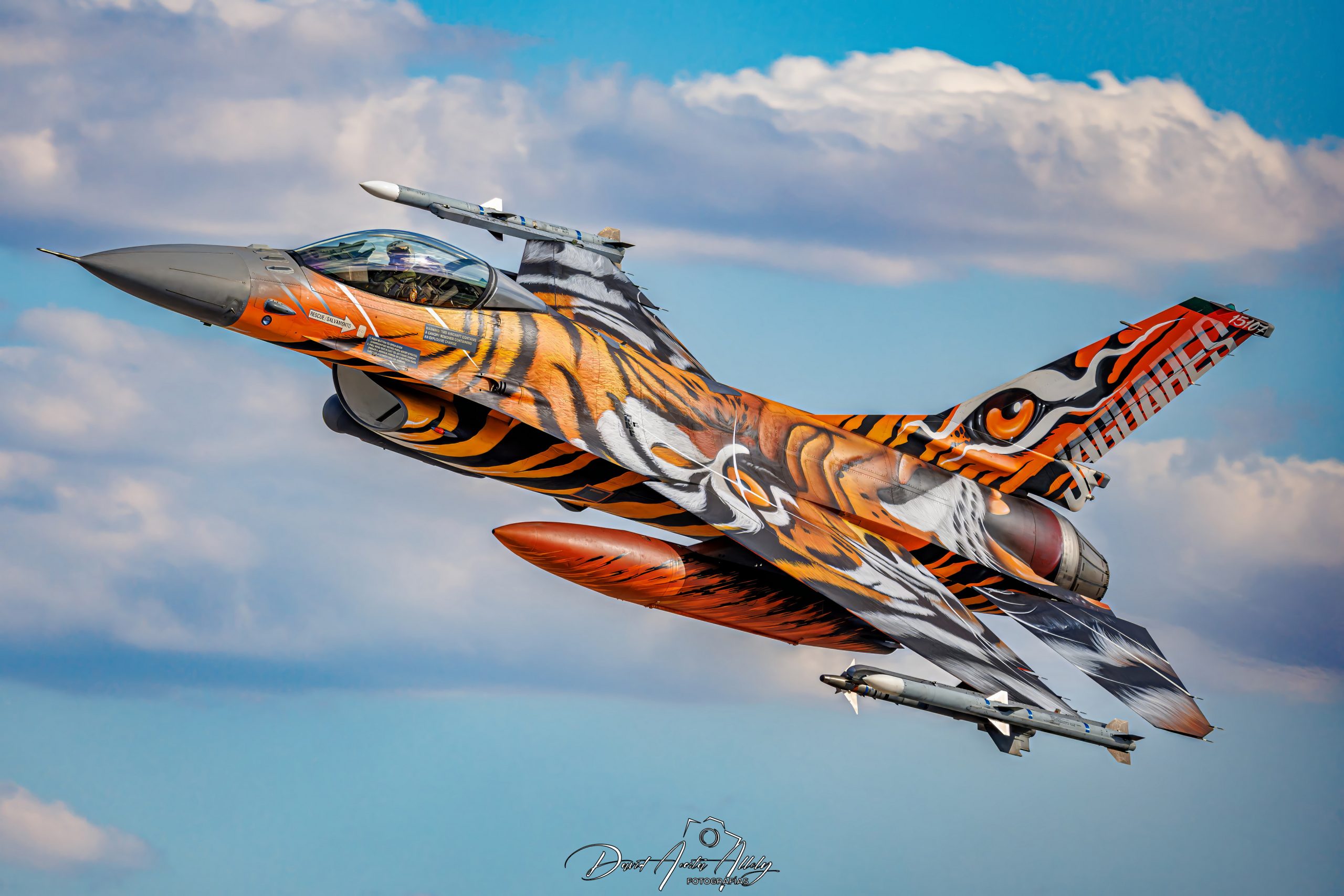 Nato Tiger Meet 2025