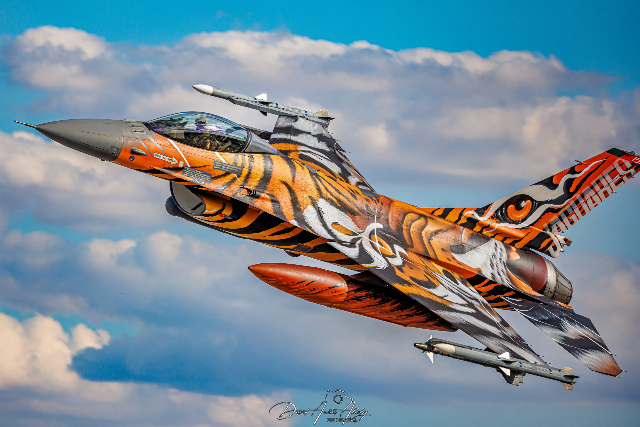 Nato Tiger Meet 2025