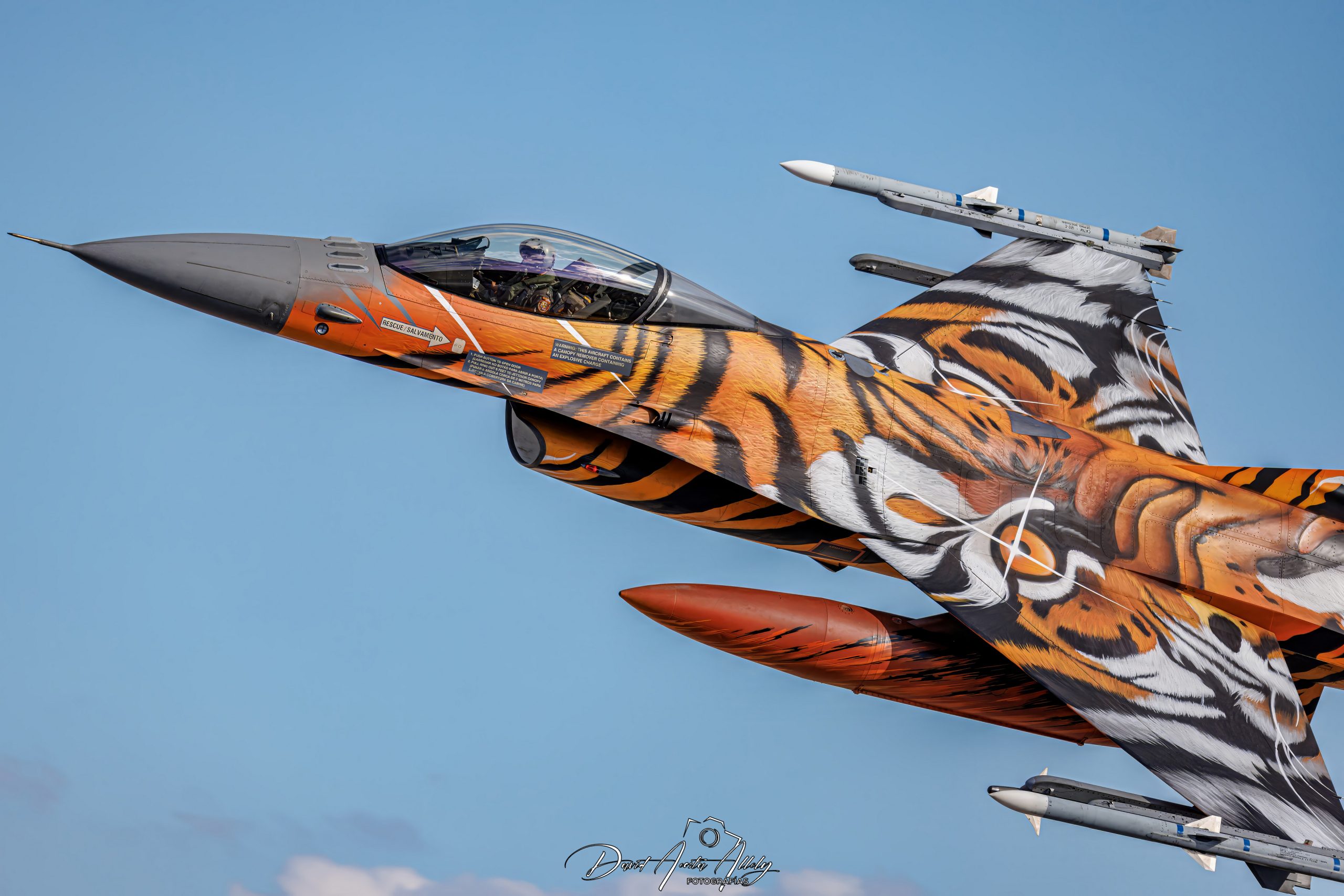 Nato Tiger Meet 2025