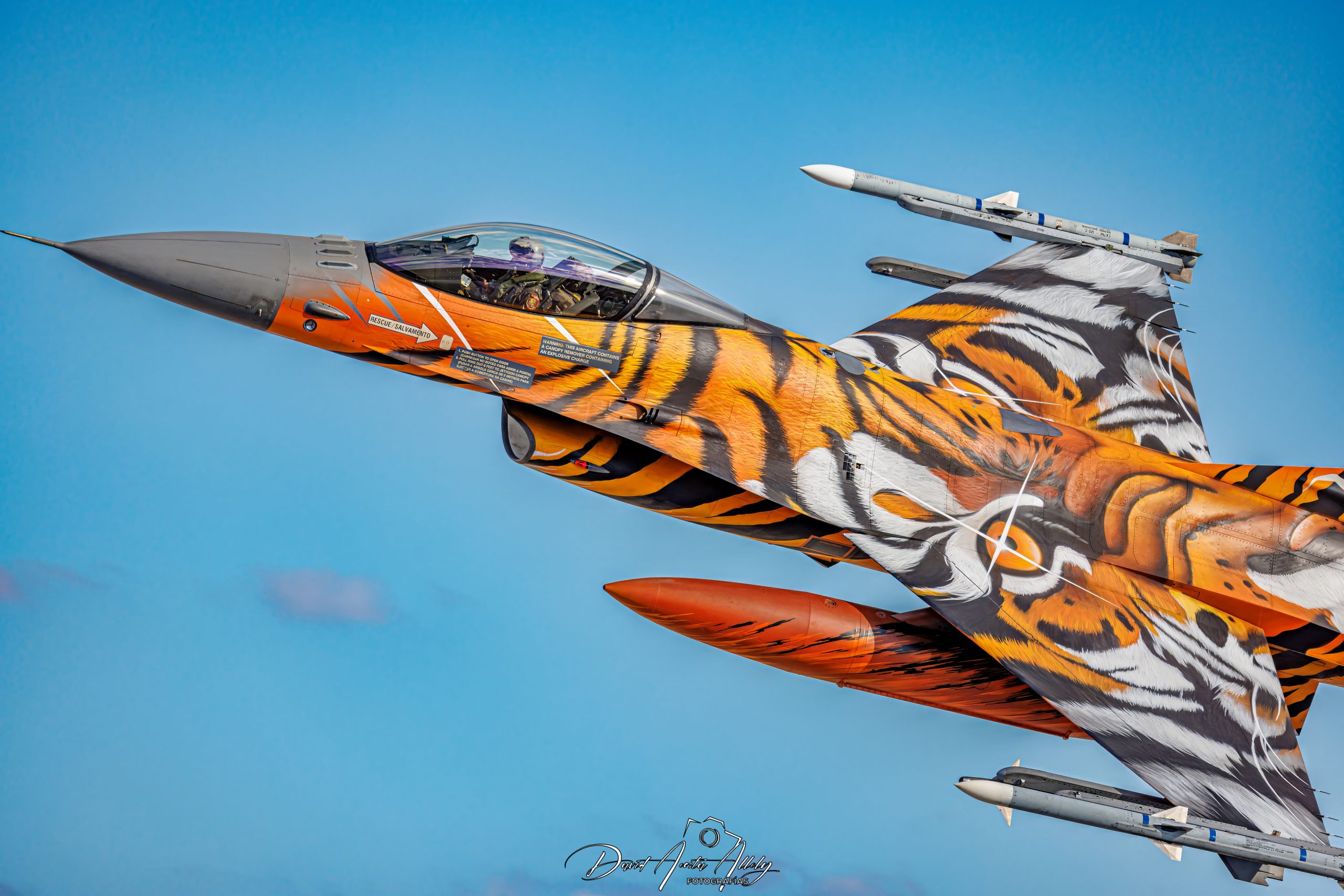 Nato Tiger Meet 2025