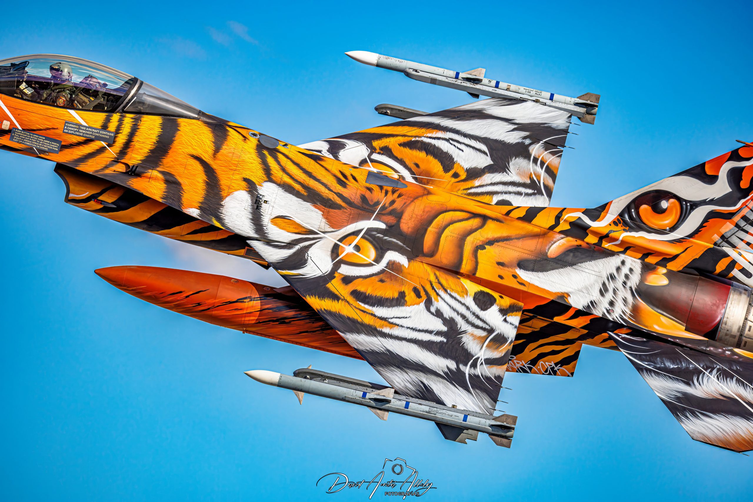Nato Tiger Meet 2025
