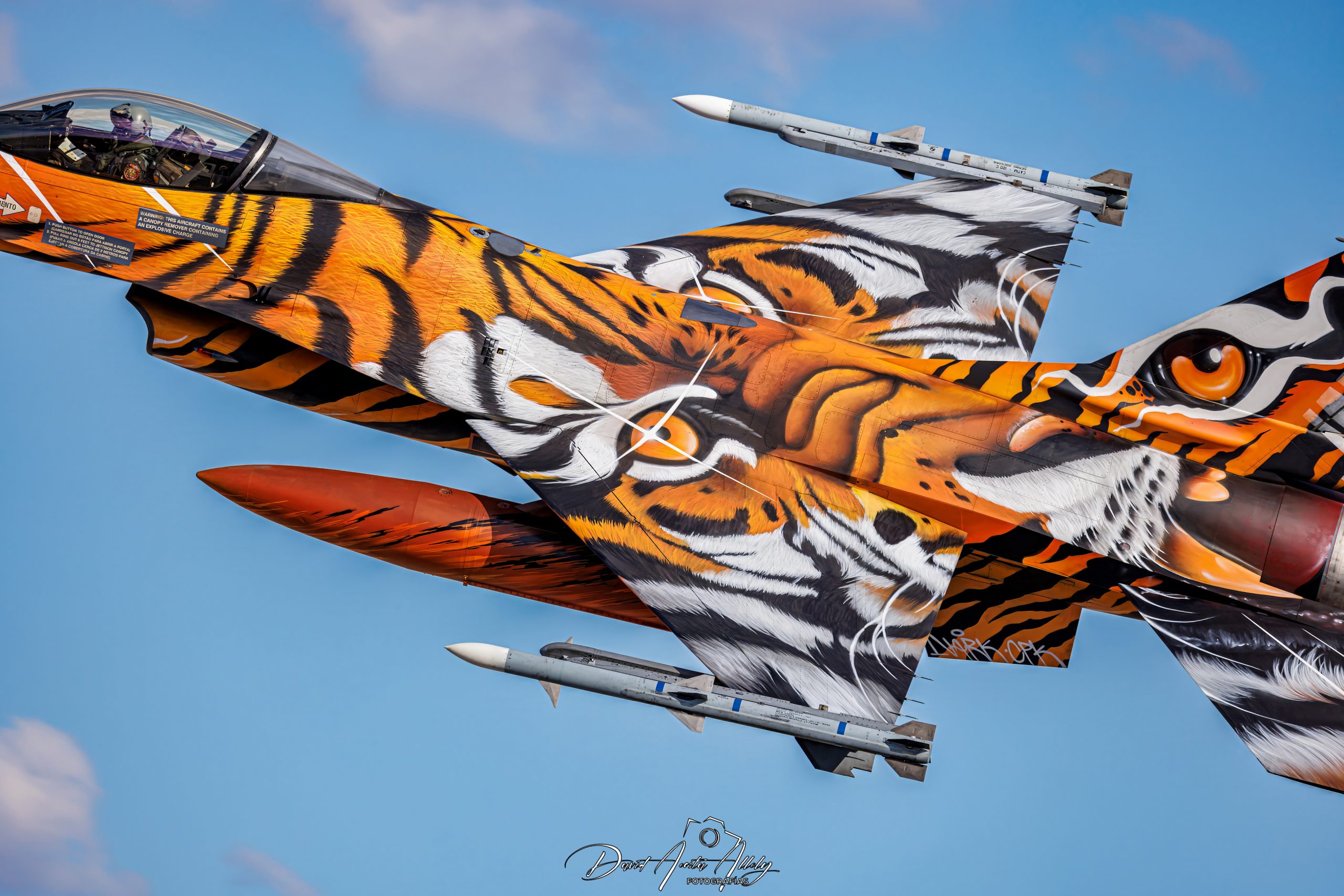 Nato Tiger Meet 2025