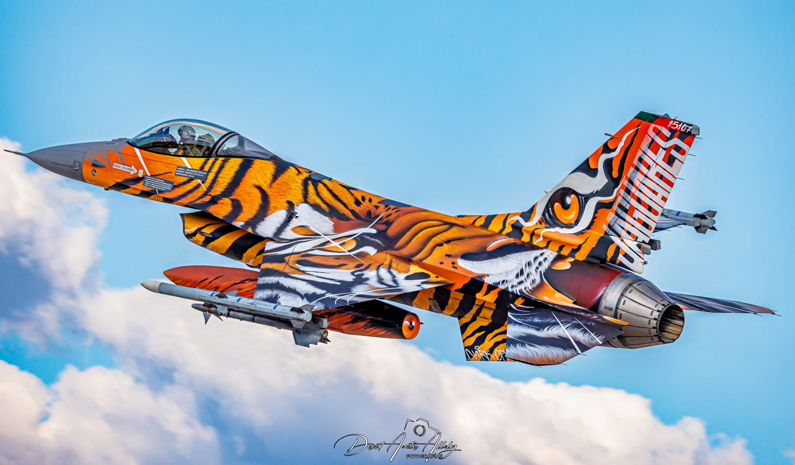 Nato Tiger Meet 2025