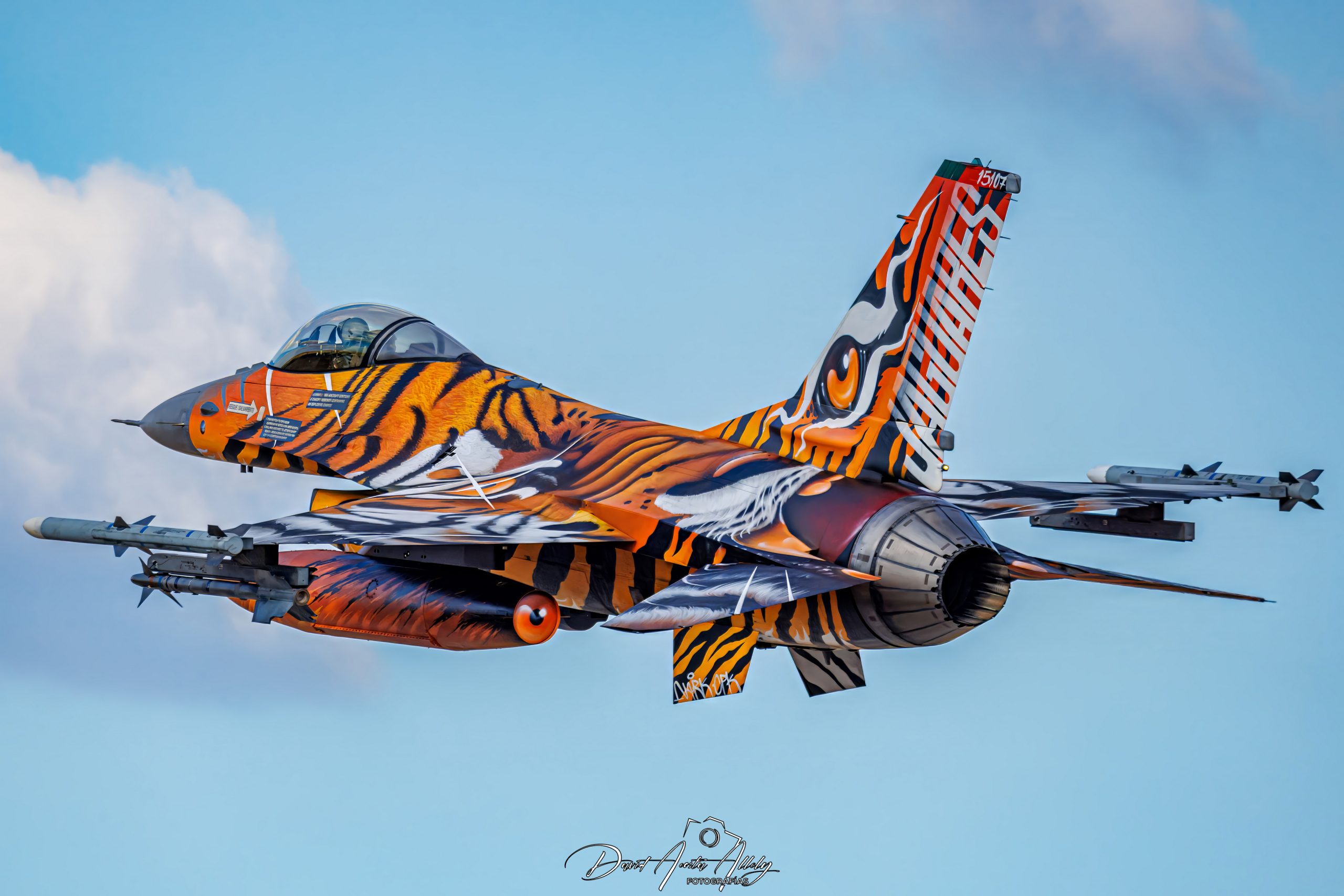 Nato Tiger Meet 2025