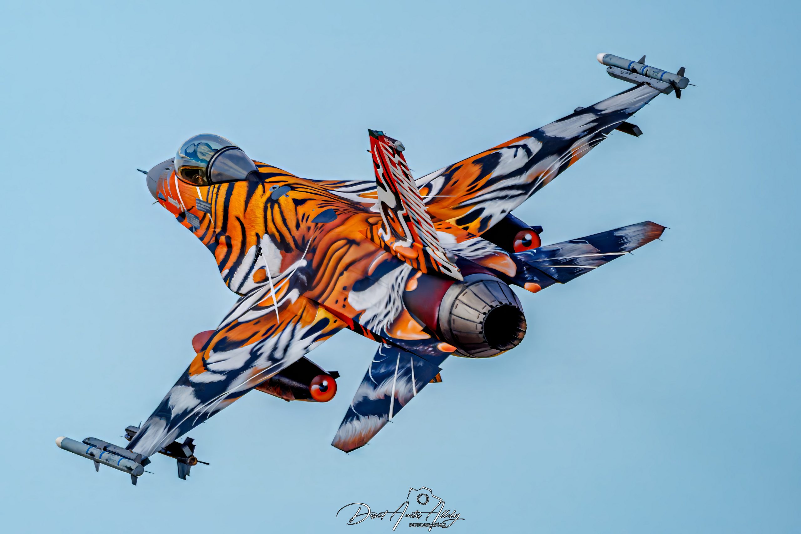 Nato Tiger Meet 2025