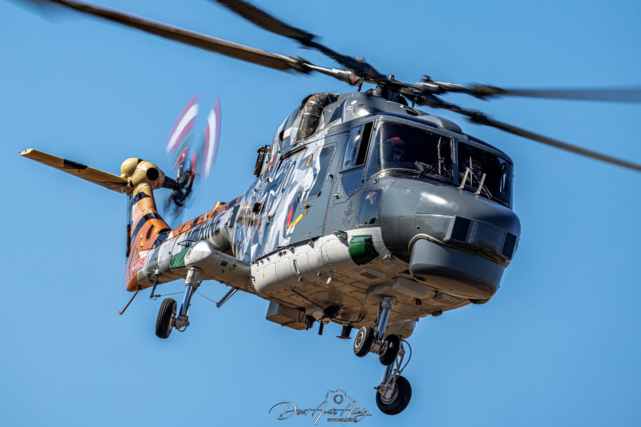 Nato Tiger Meet 2025