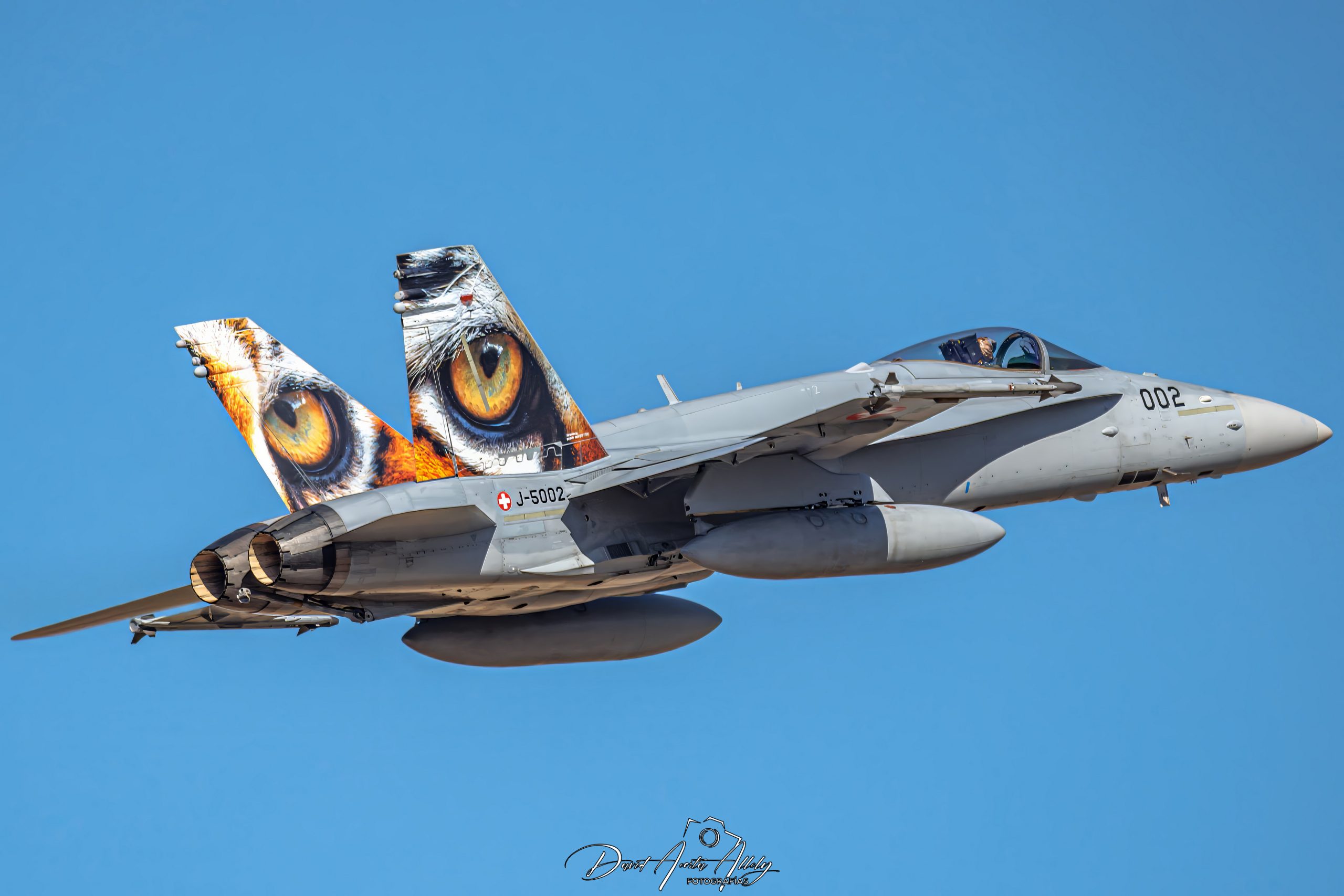 Nato Tiger Meet 2025