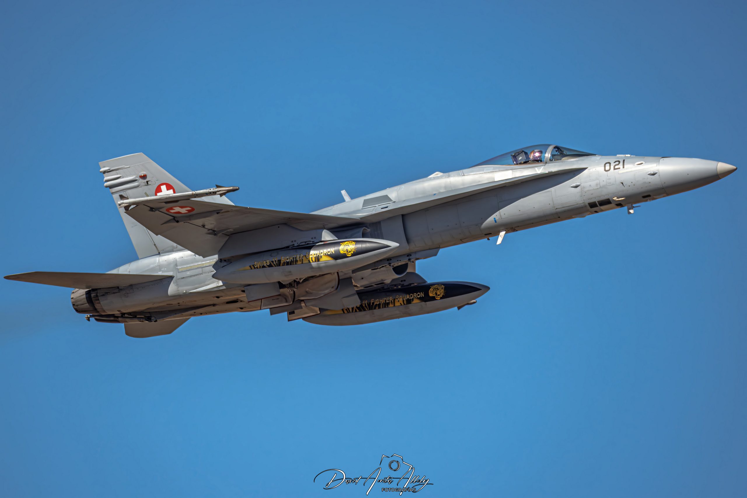 Nato Tiger Meet 2025