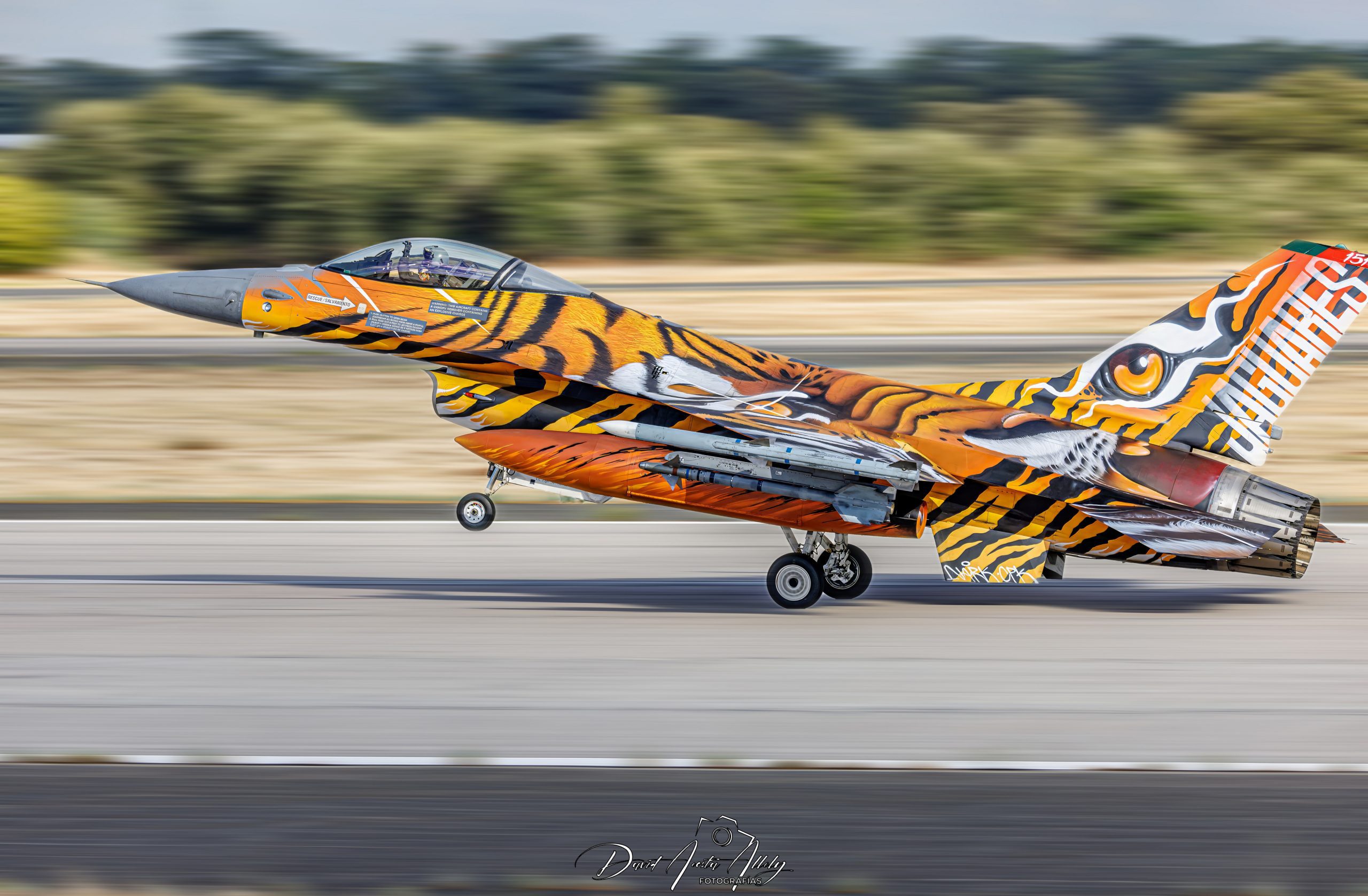 Nato Tiger Meet 2025