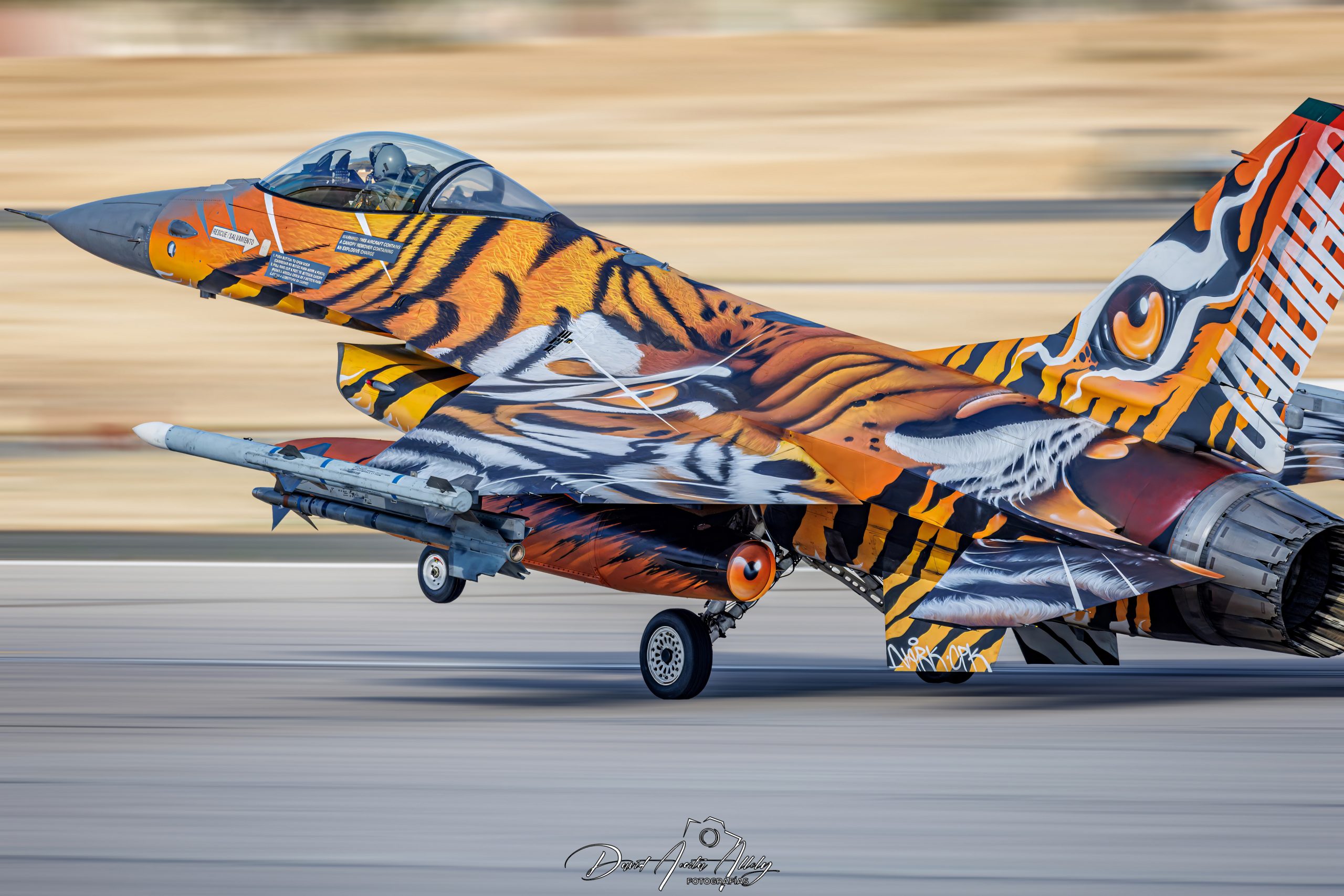 Nato Tiger Meet 2025