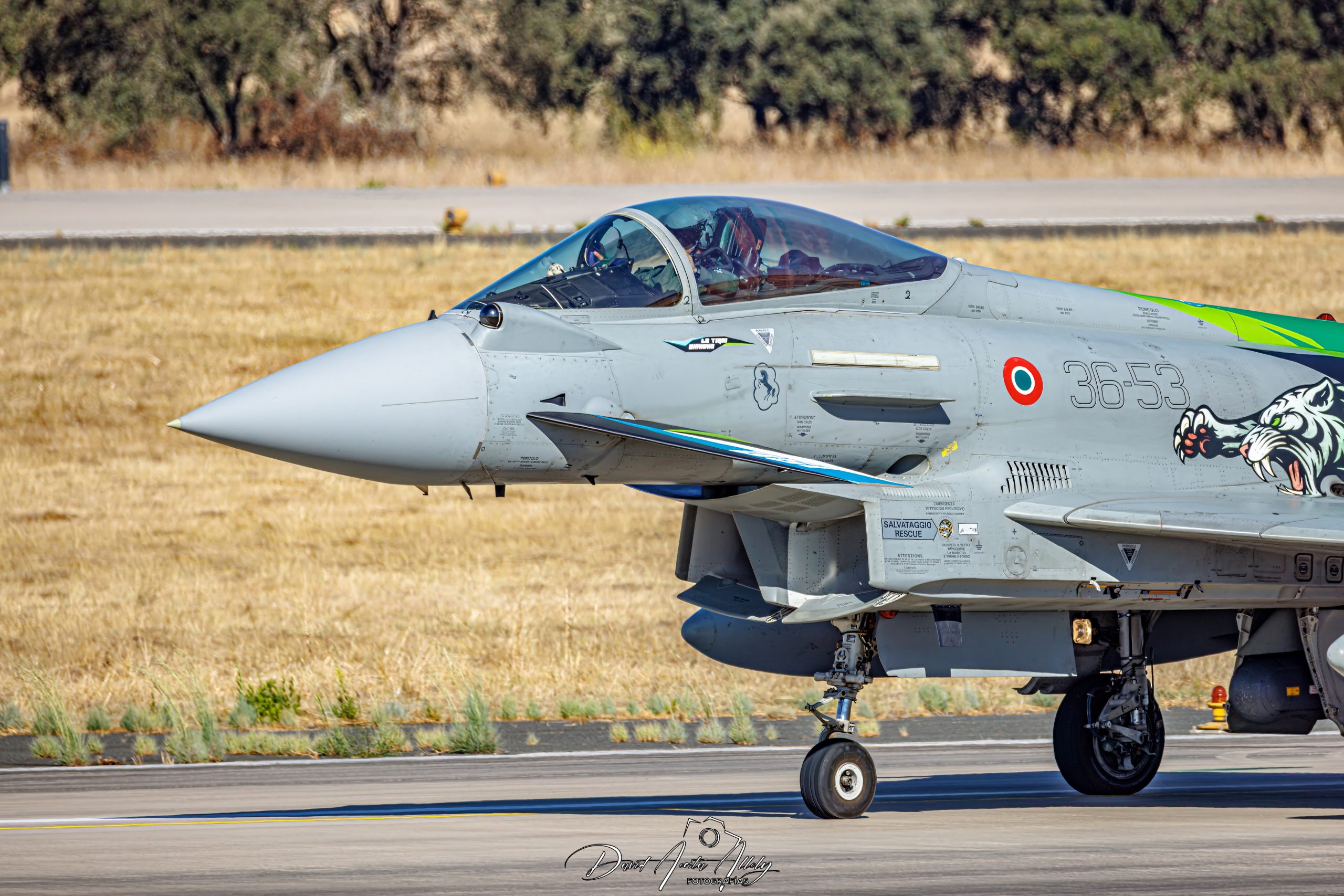 Nato Tiger Meet 2025