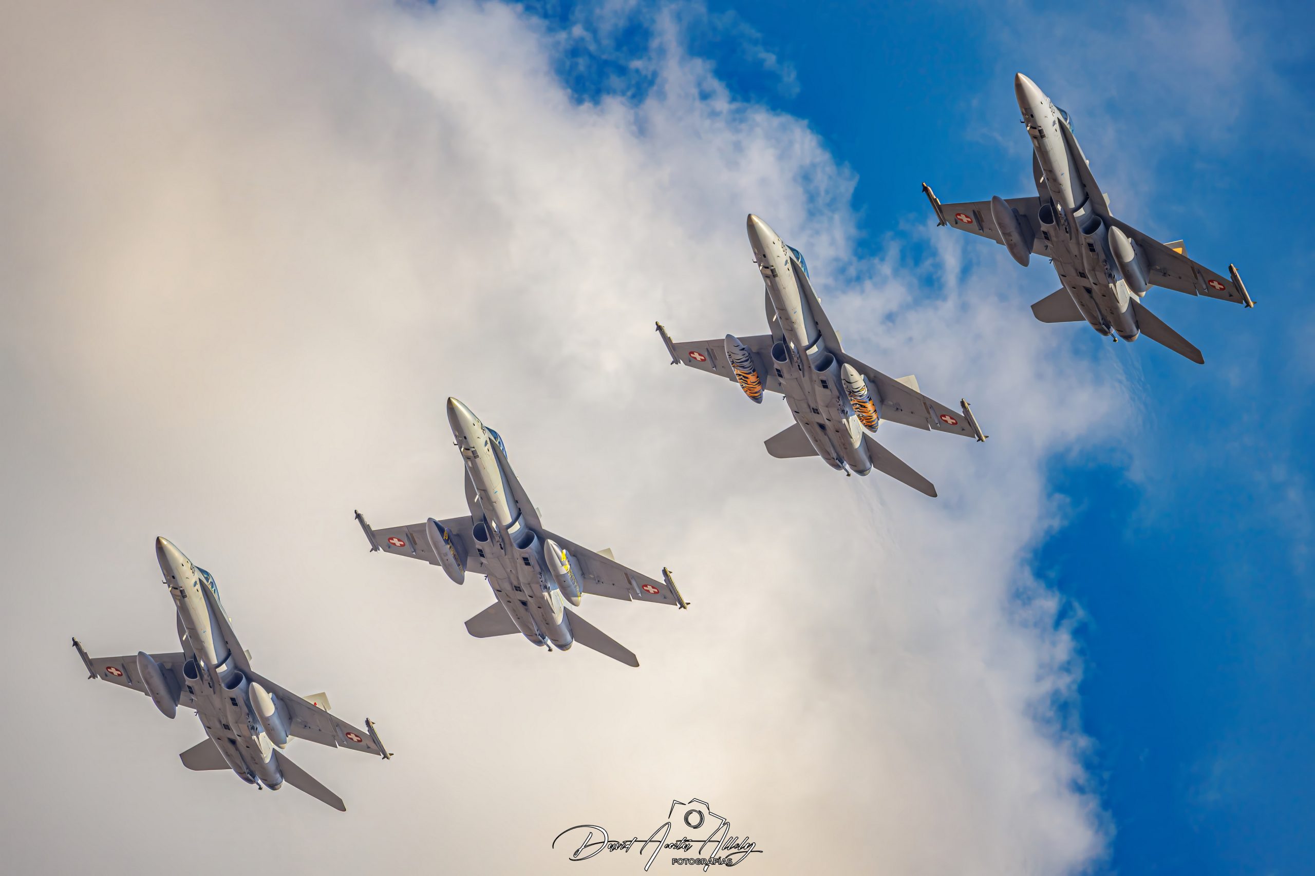 Nato Tiger Meet 2025