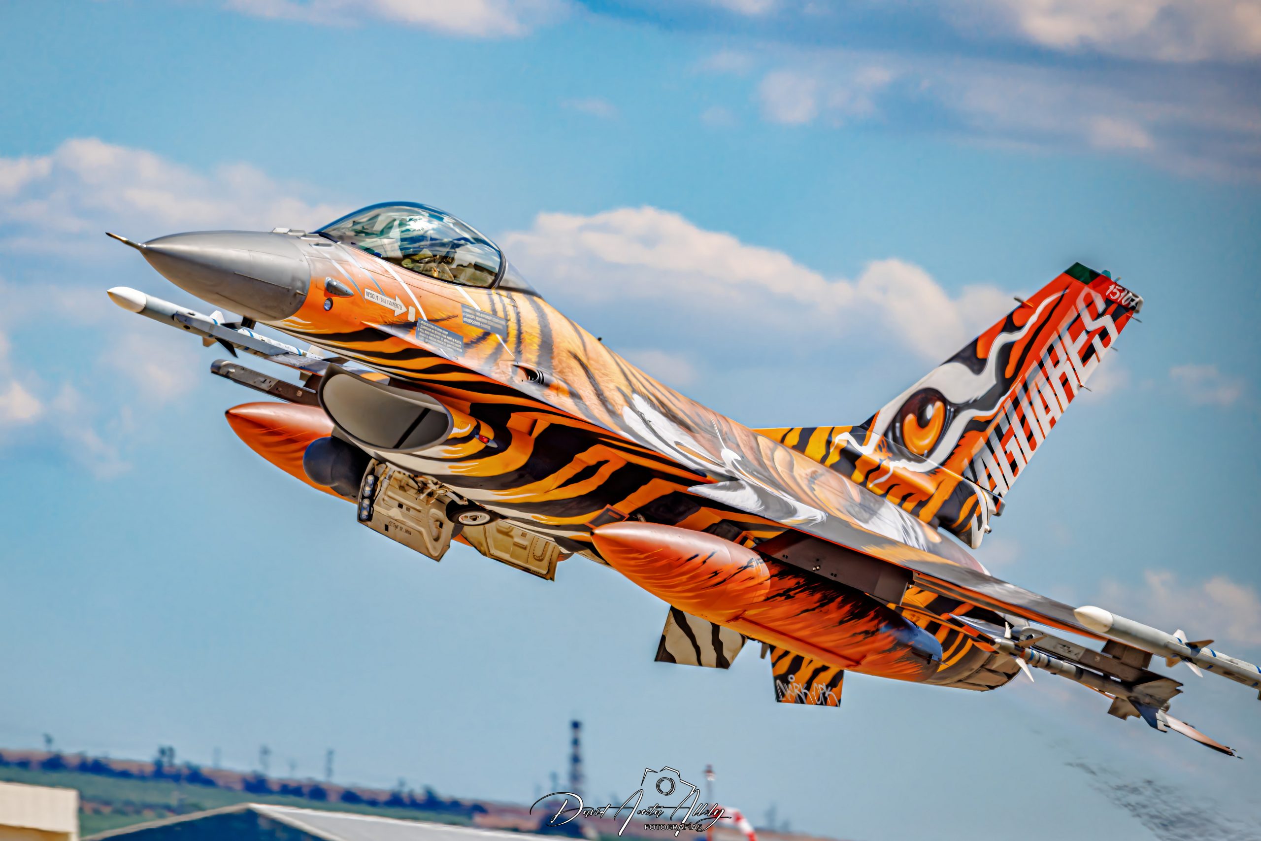 Nato Tiger Meet 2025