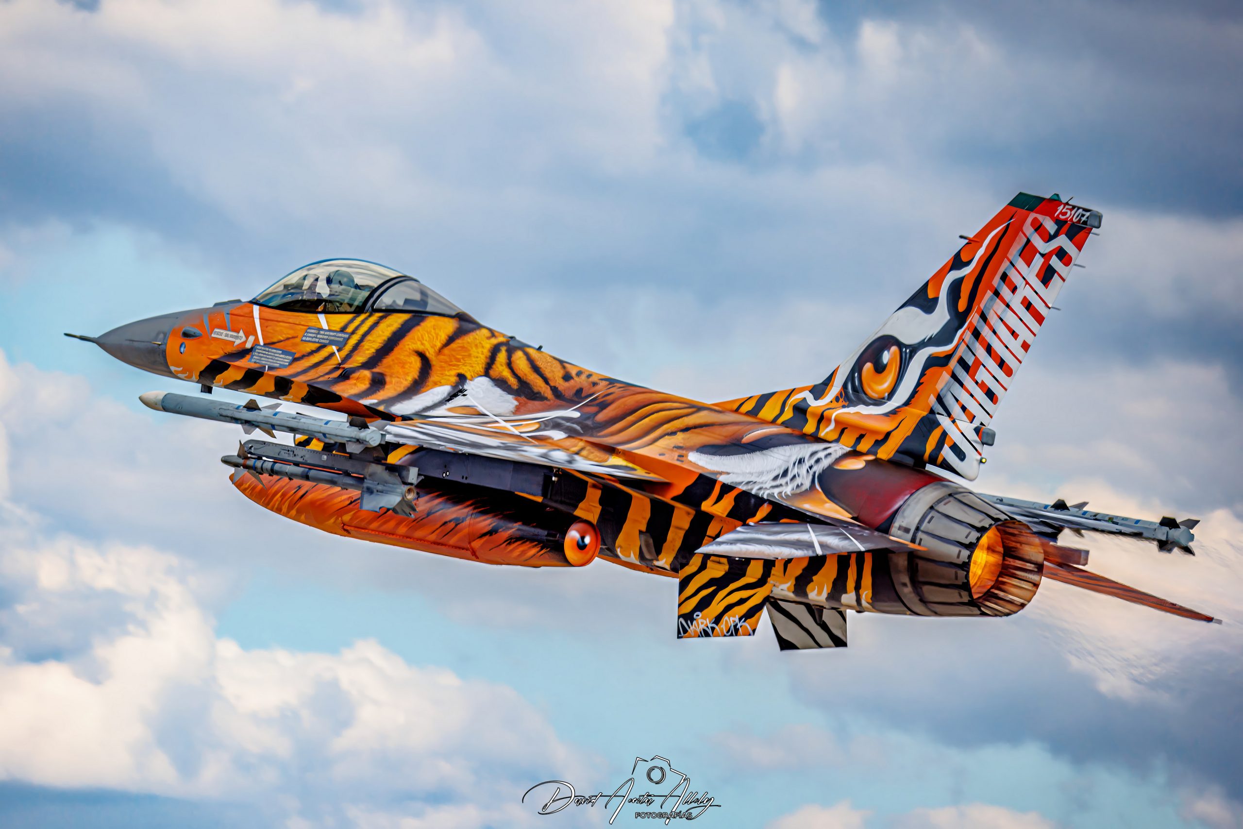 Nato Tiger Meet 2025