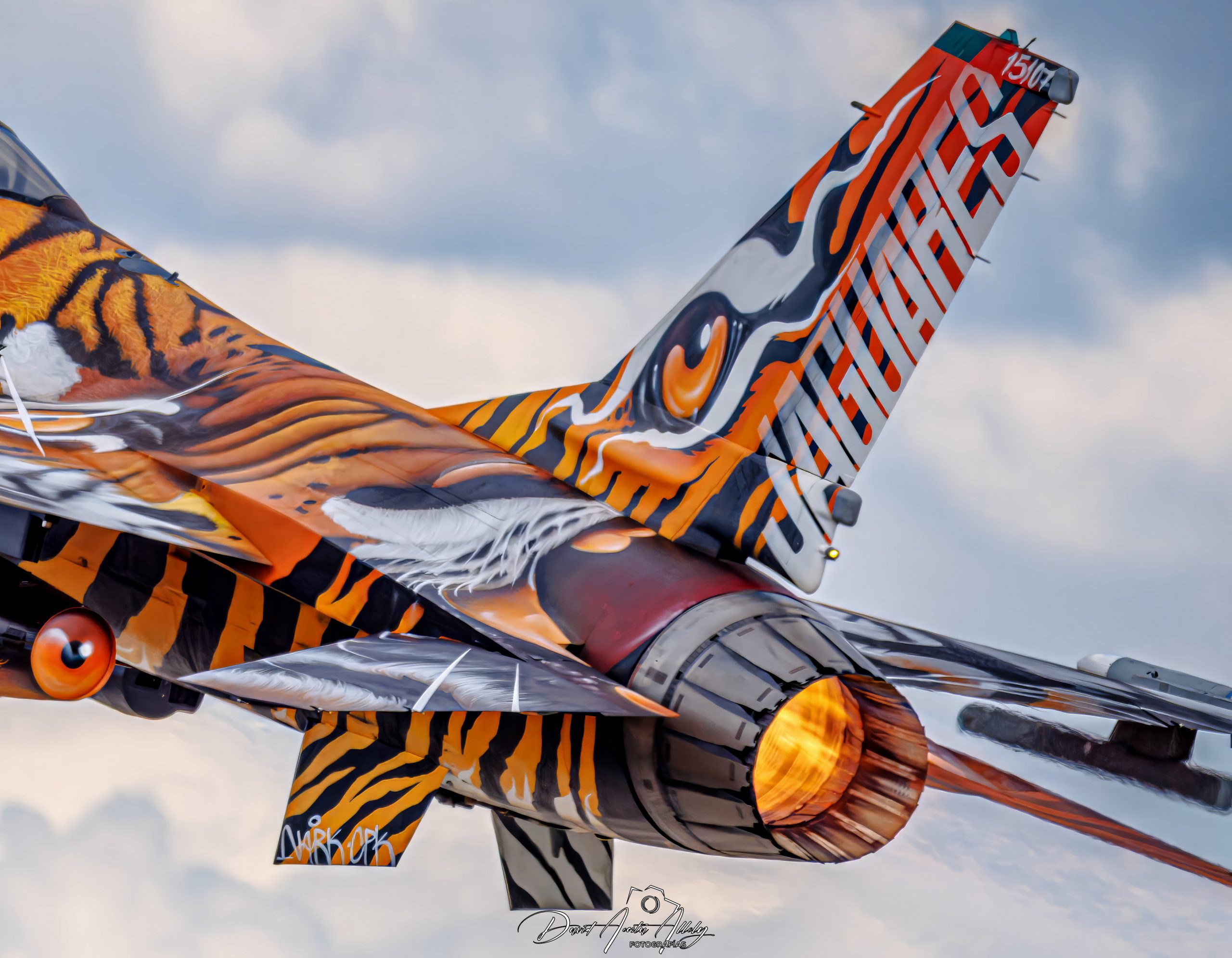 Nato Tiger Meet 2025