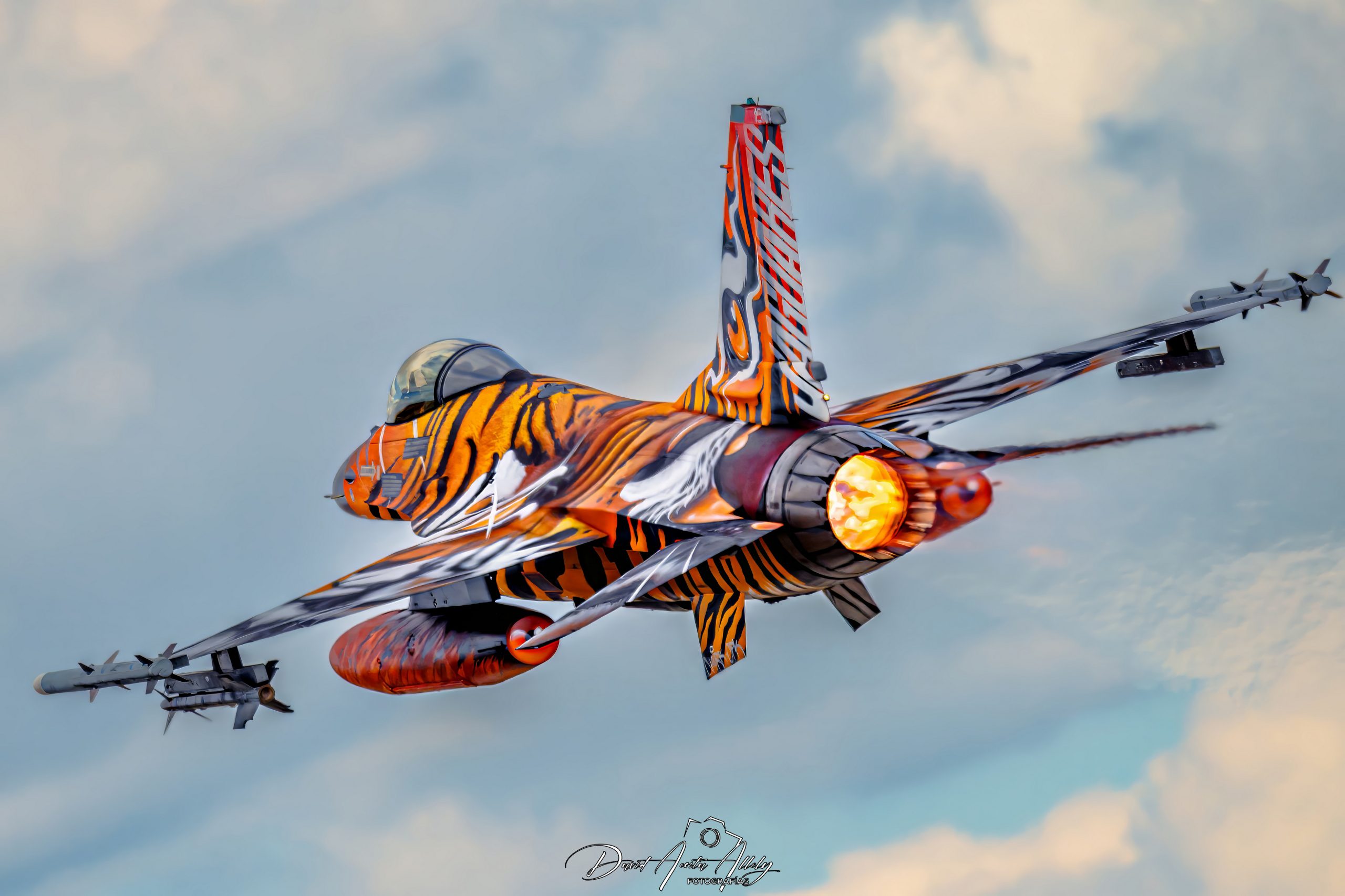 Nato Tiger Meet 2025