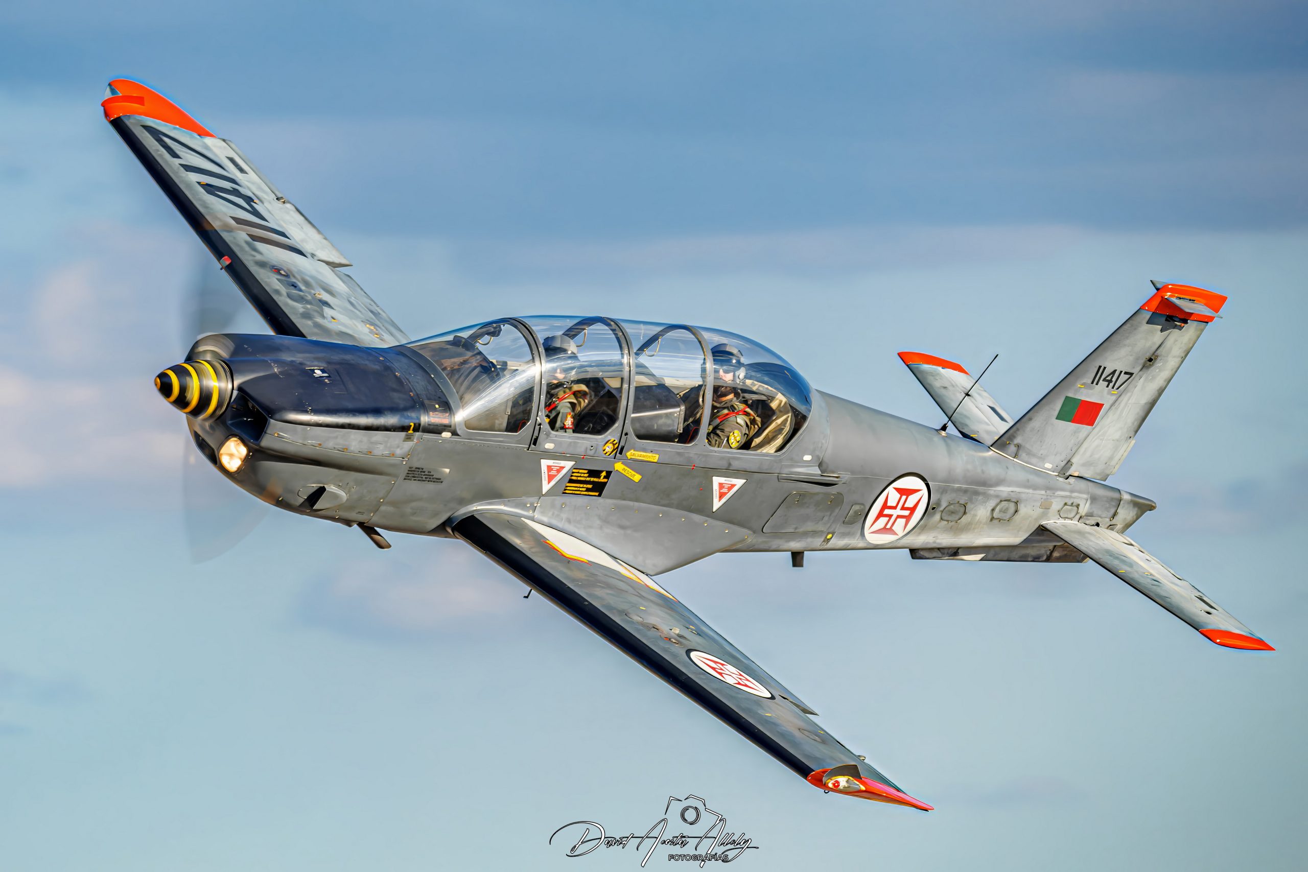 Nato Tiger Meet 2025