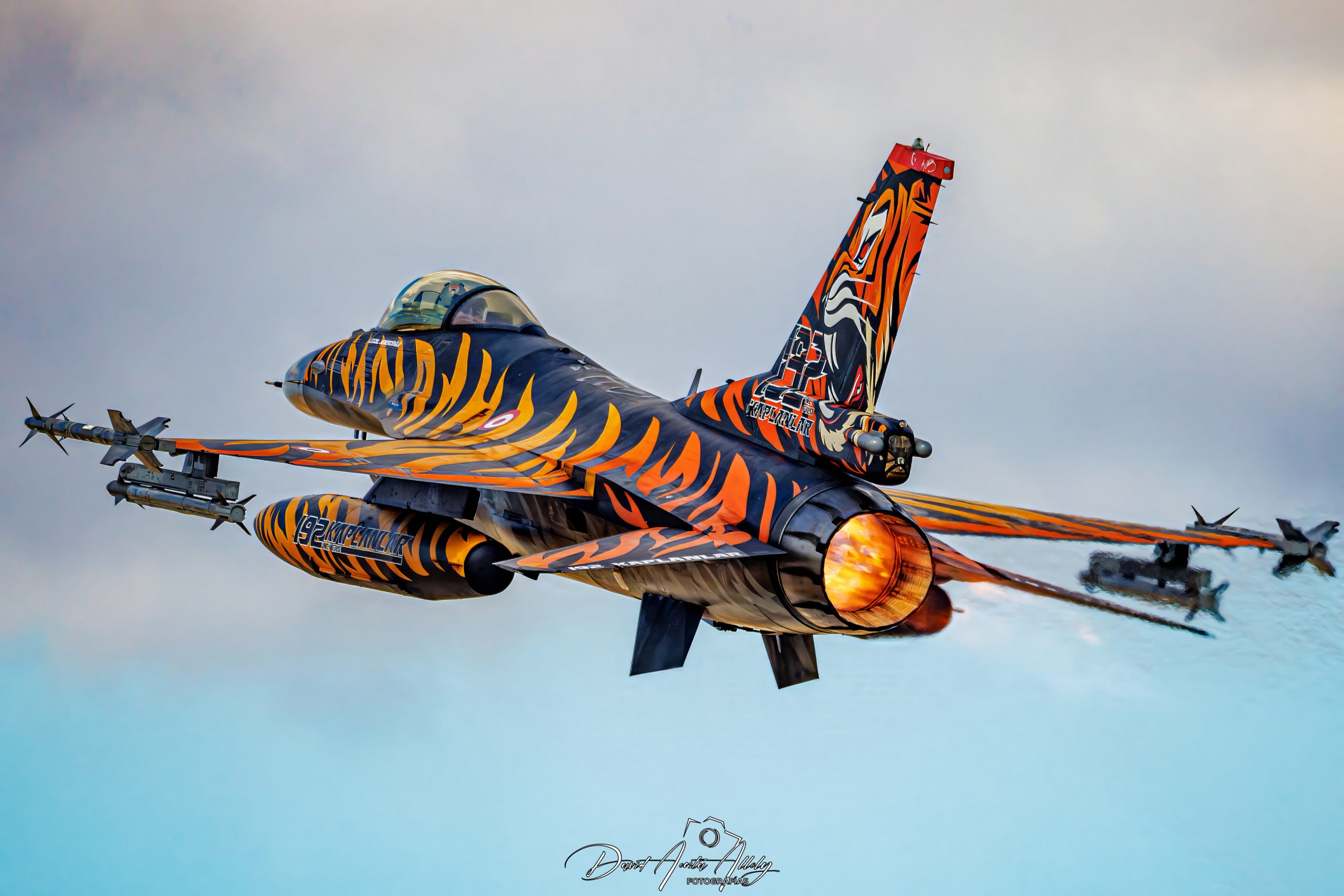 Nato Tiger Meet 2025