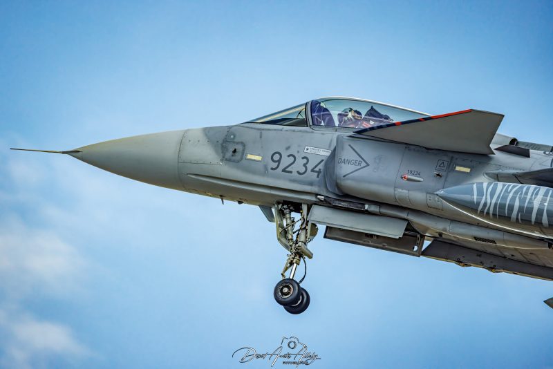Nato Tiger Meet 2025