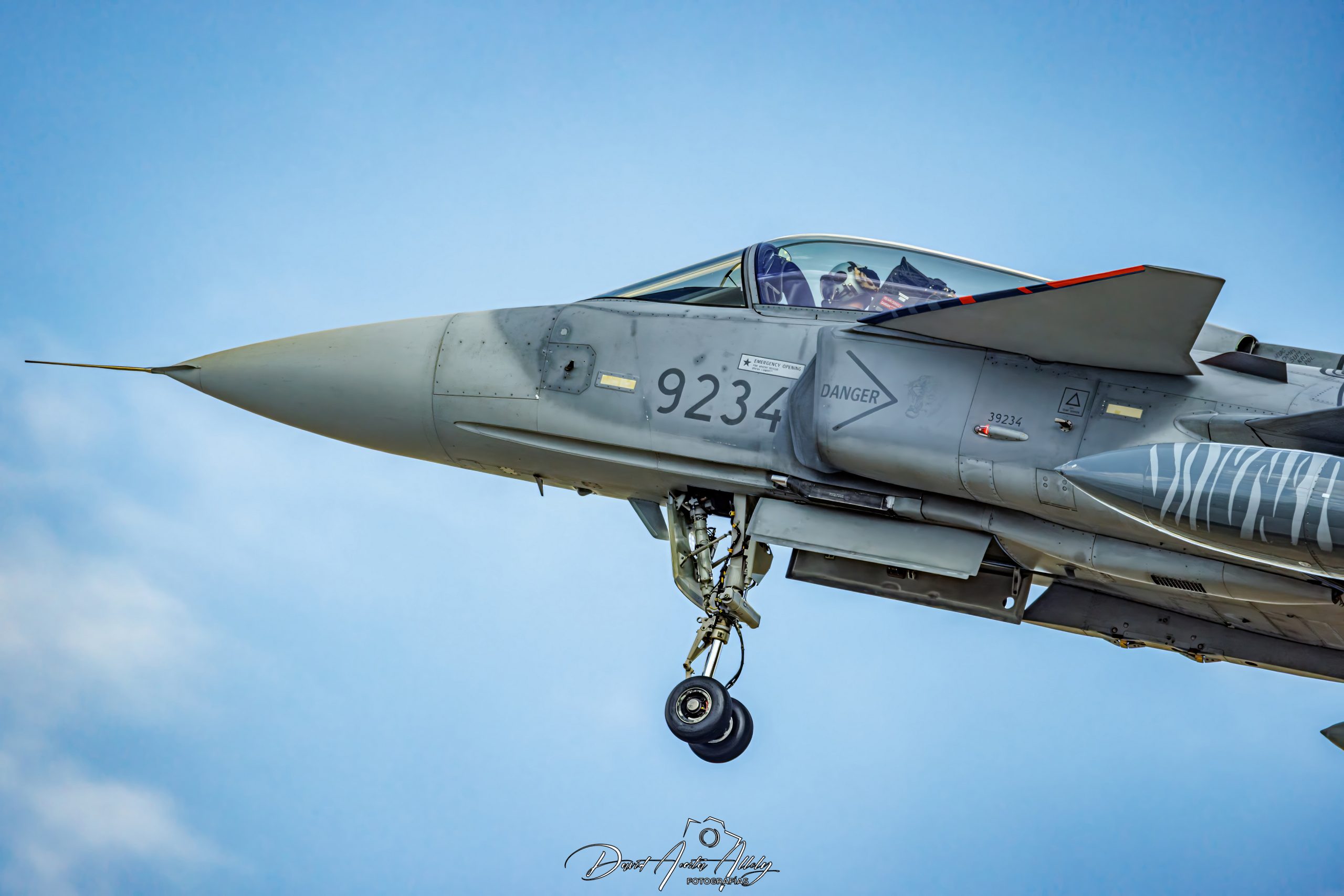 Nato Tiger Meet 2025