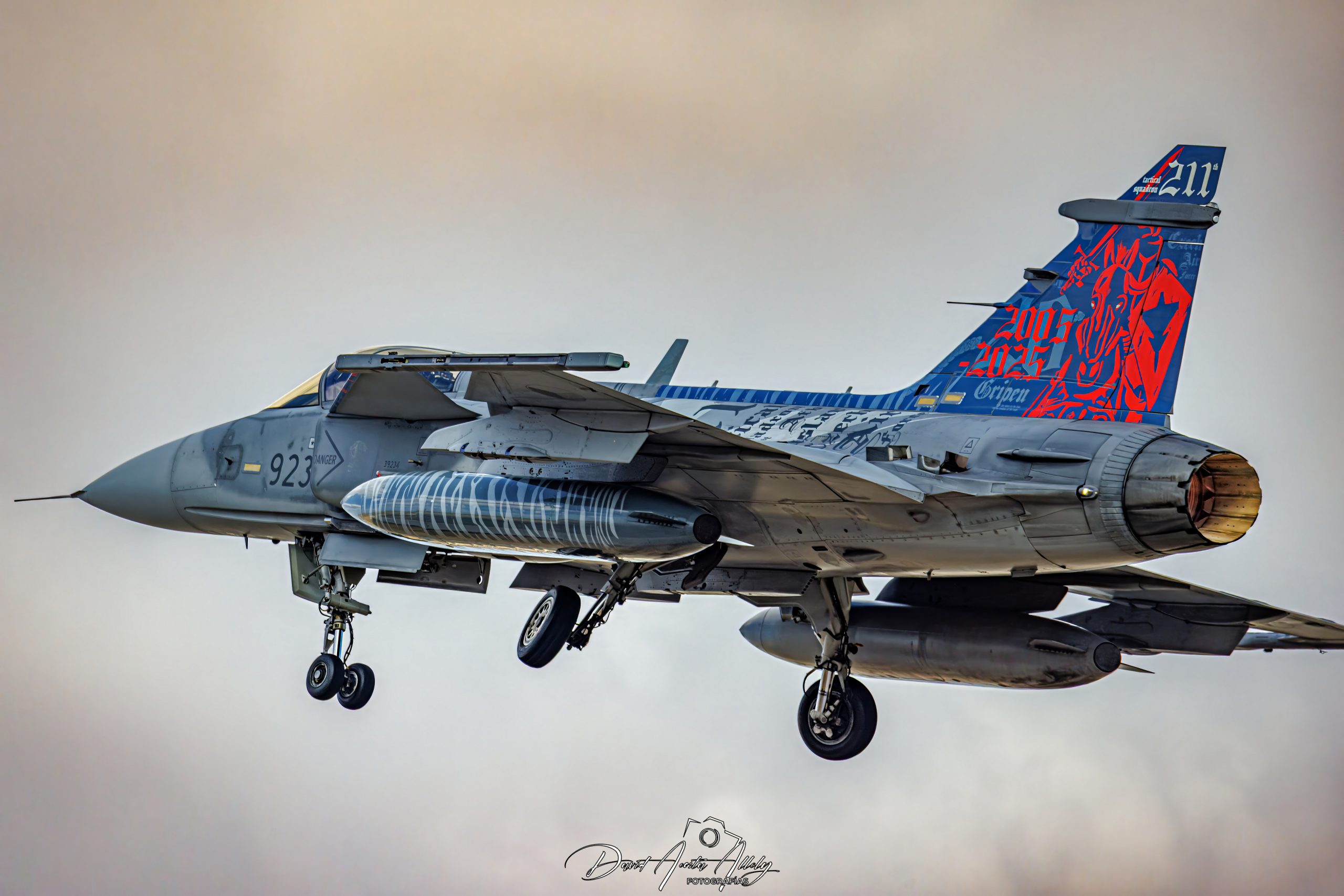 Nato Tiger Meet 2025