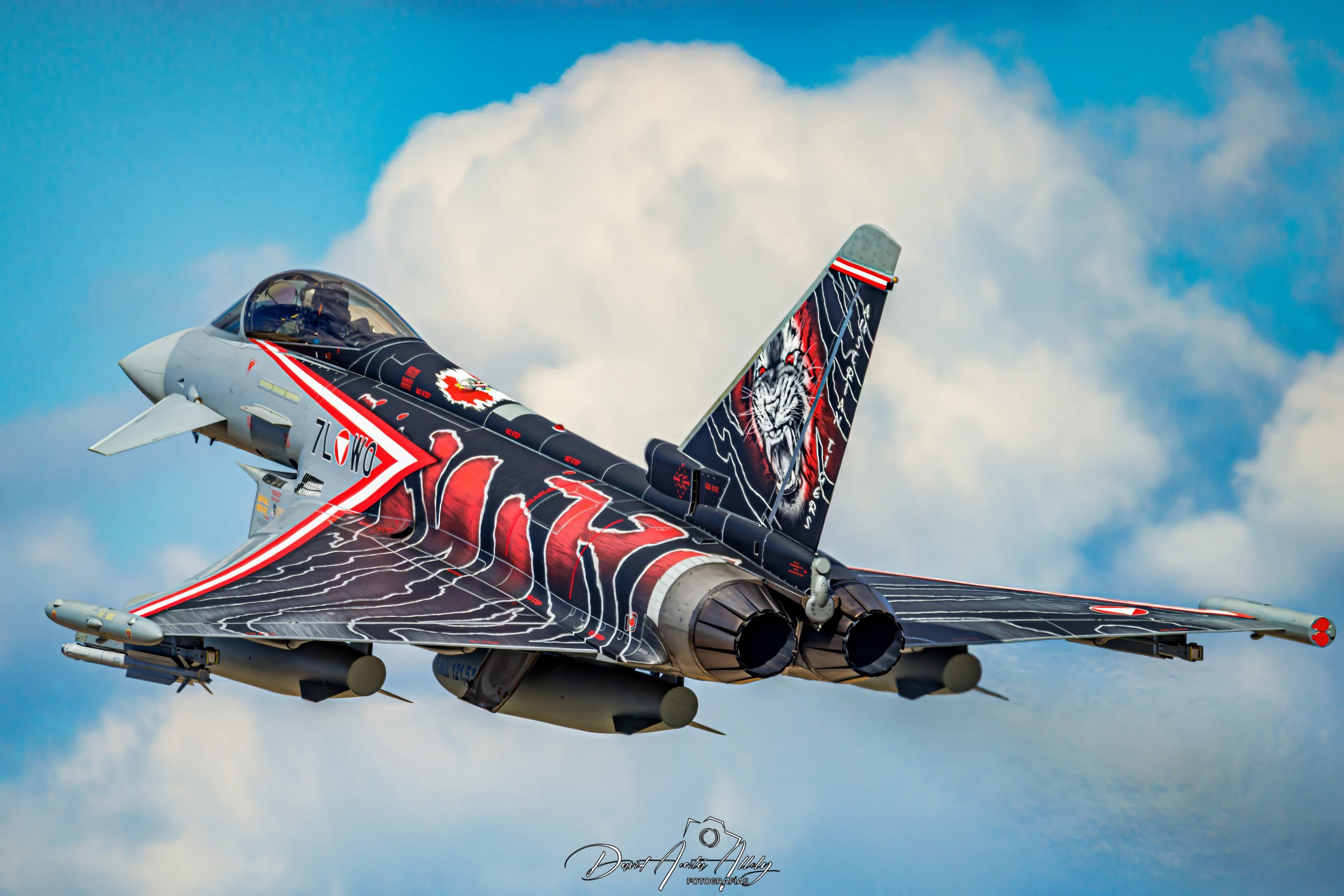 Nato Tiger Meet 2025