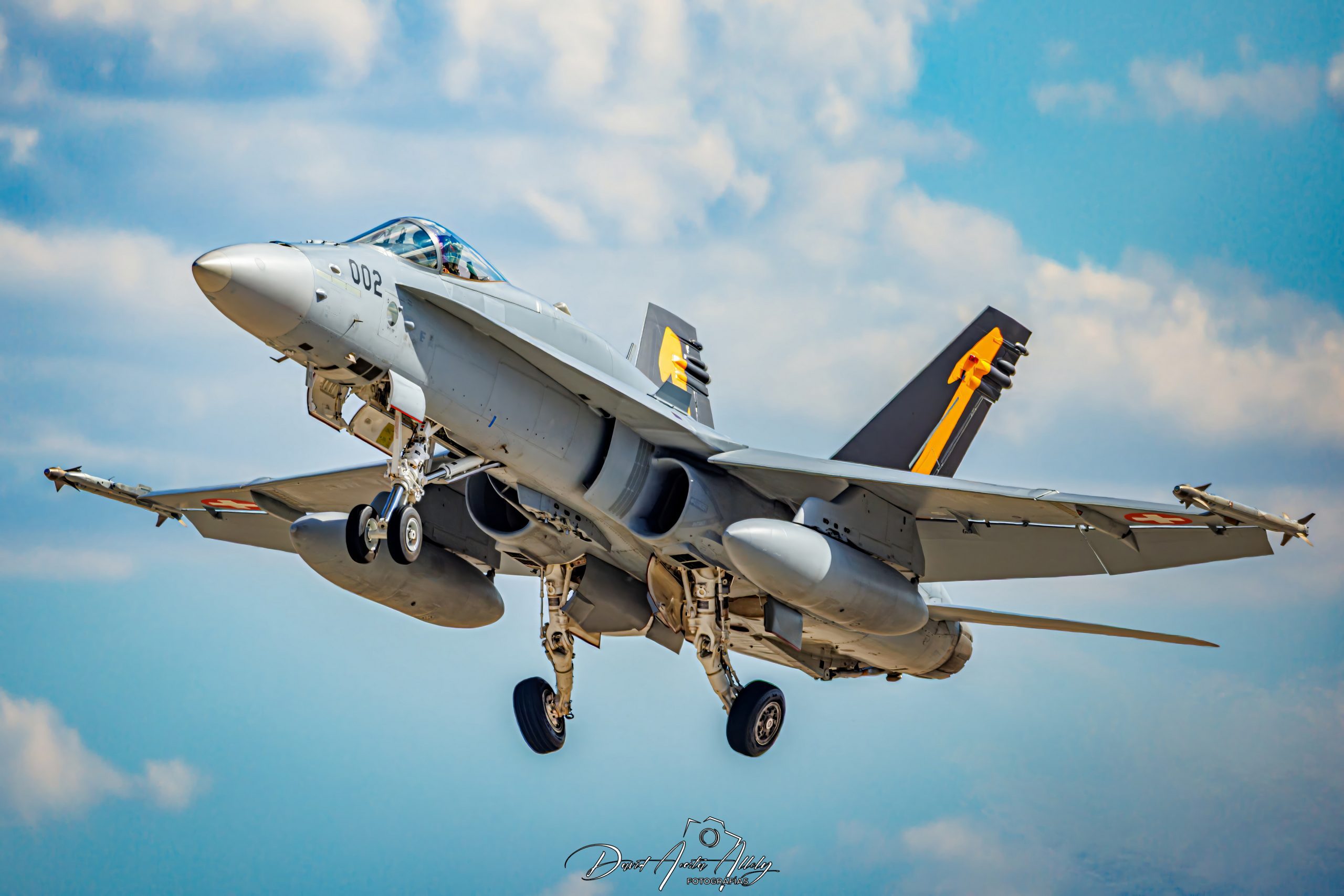 Nato Tiger Meet 2025