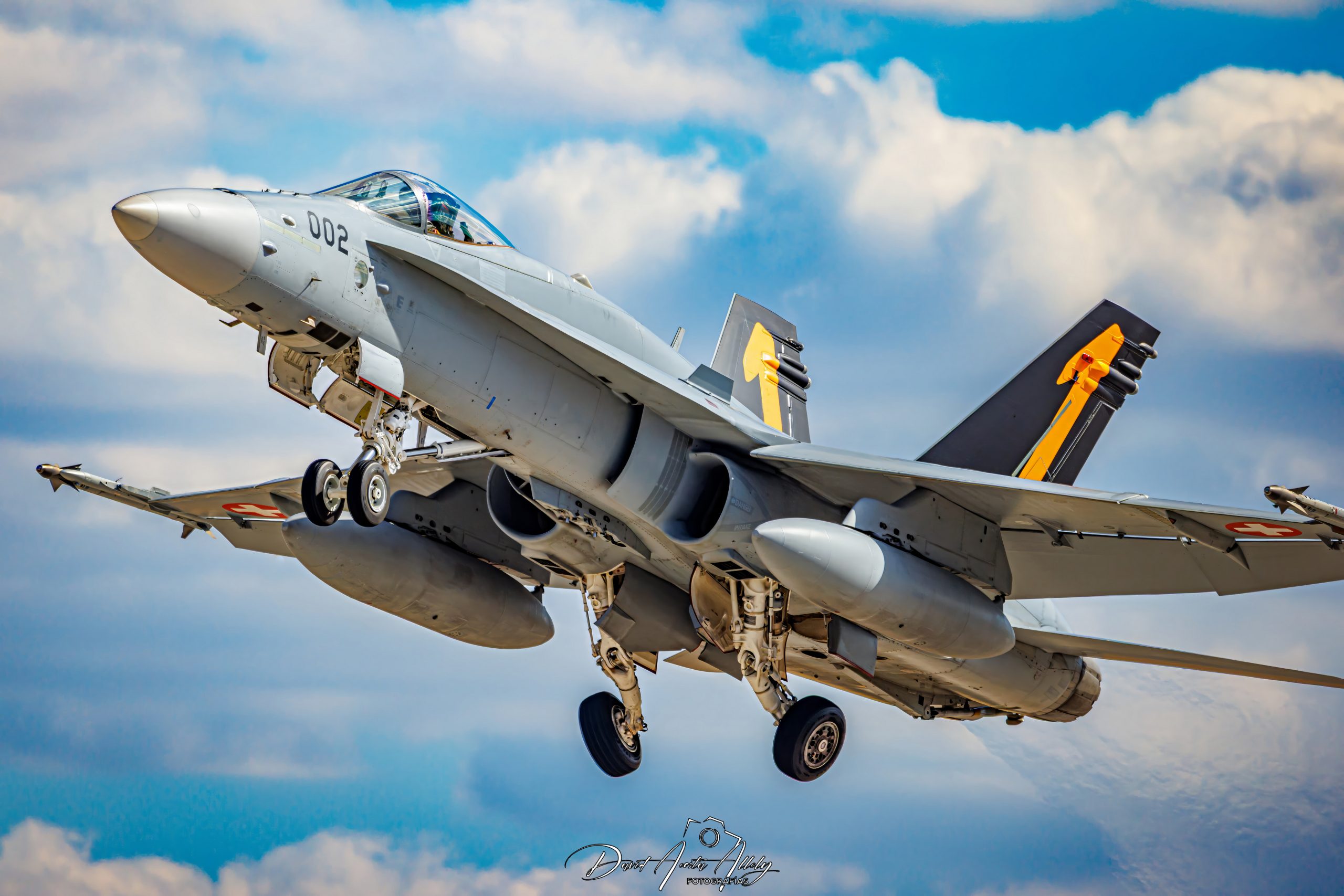 Nato Tiger Meet 2025