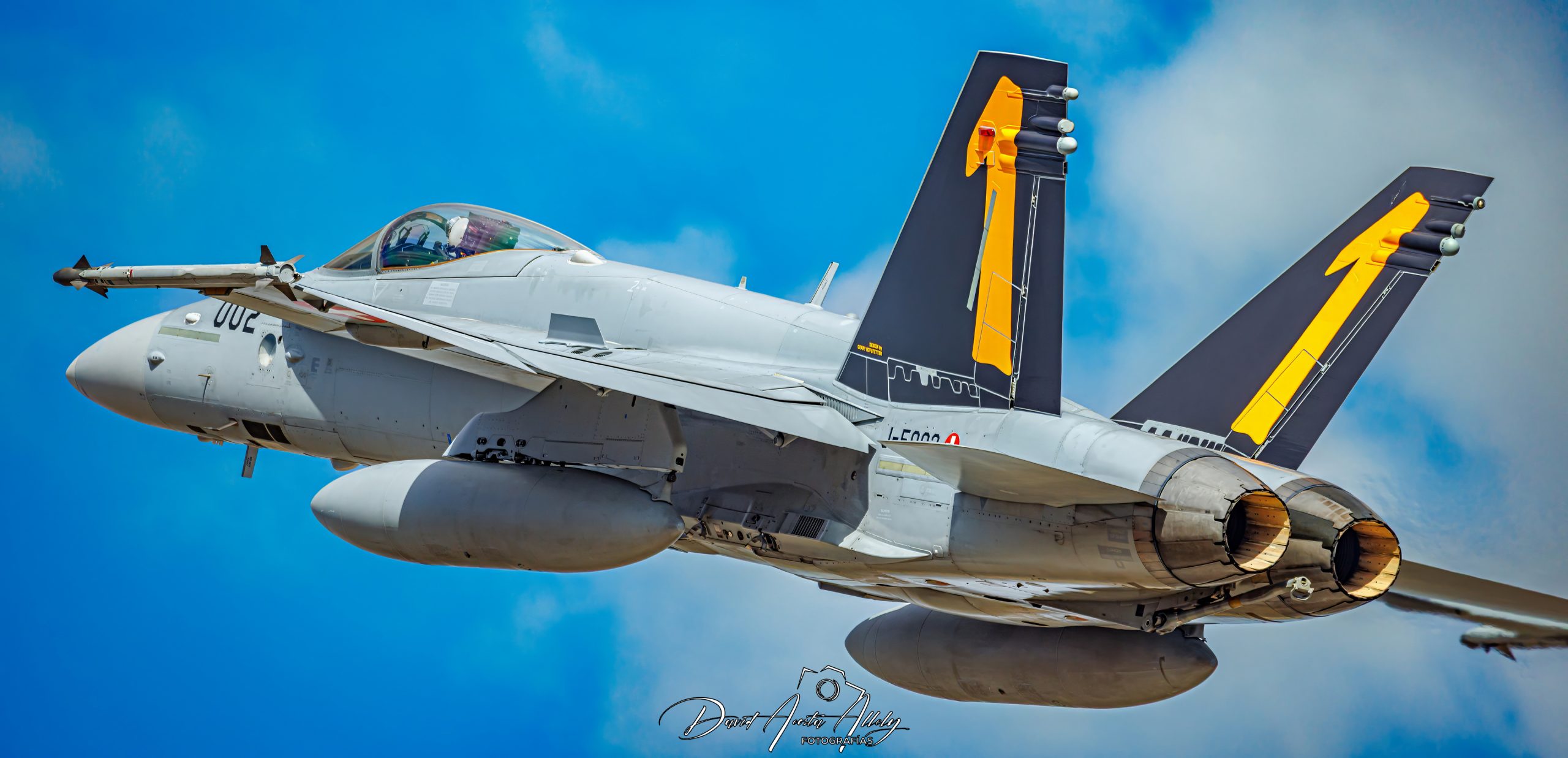 Nato Tiger Meet 2025