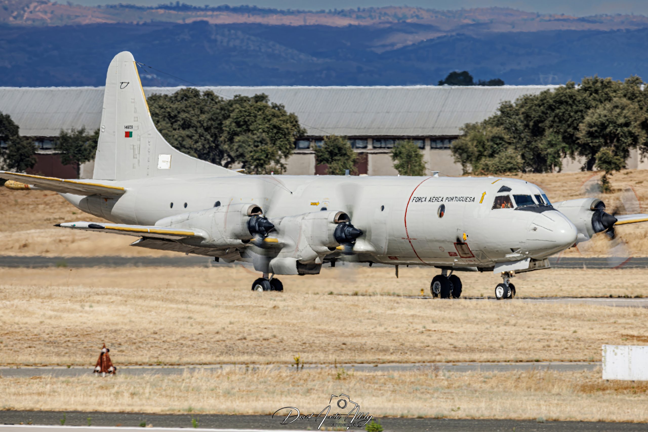 Nato Tiger Meet 2025