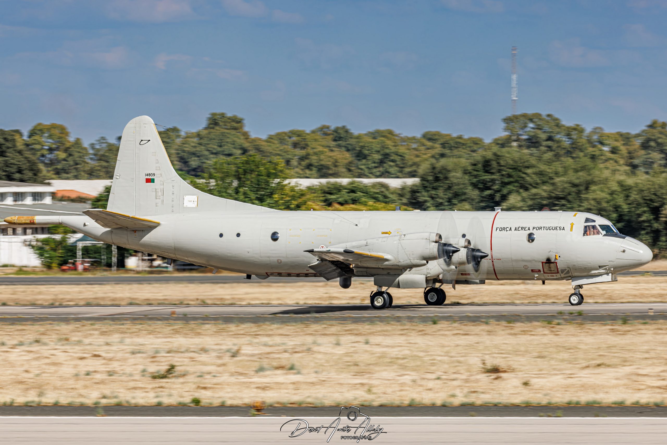 Nato Tiger Meet 2025