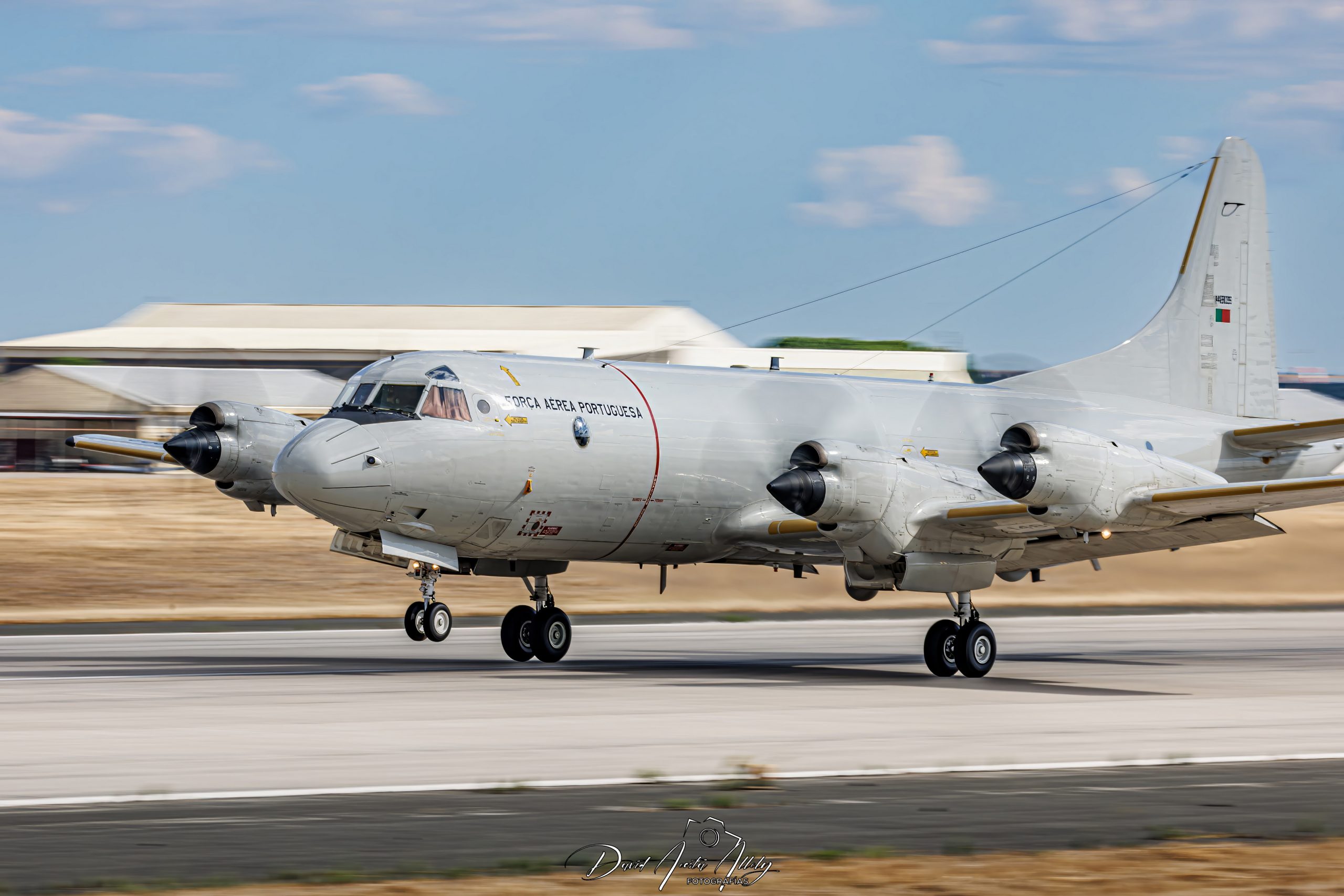 Nato Tiger Meet 2025