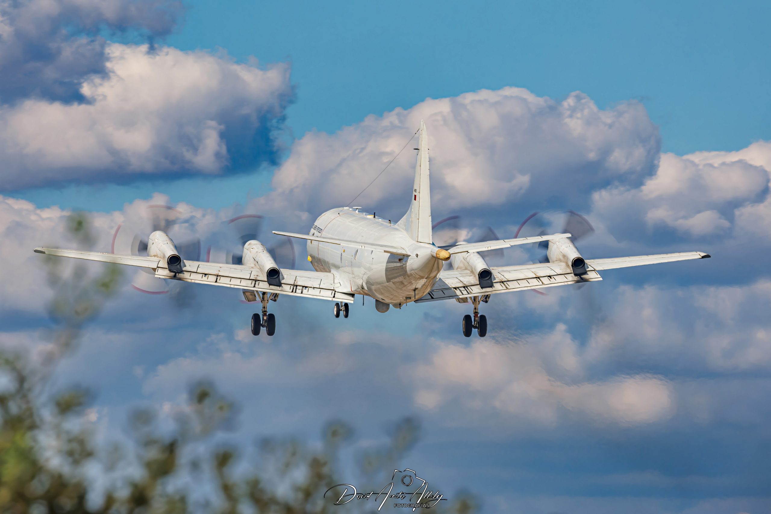 Nato Tiger Meet 2025