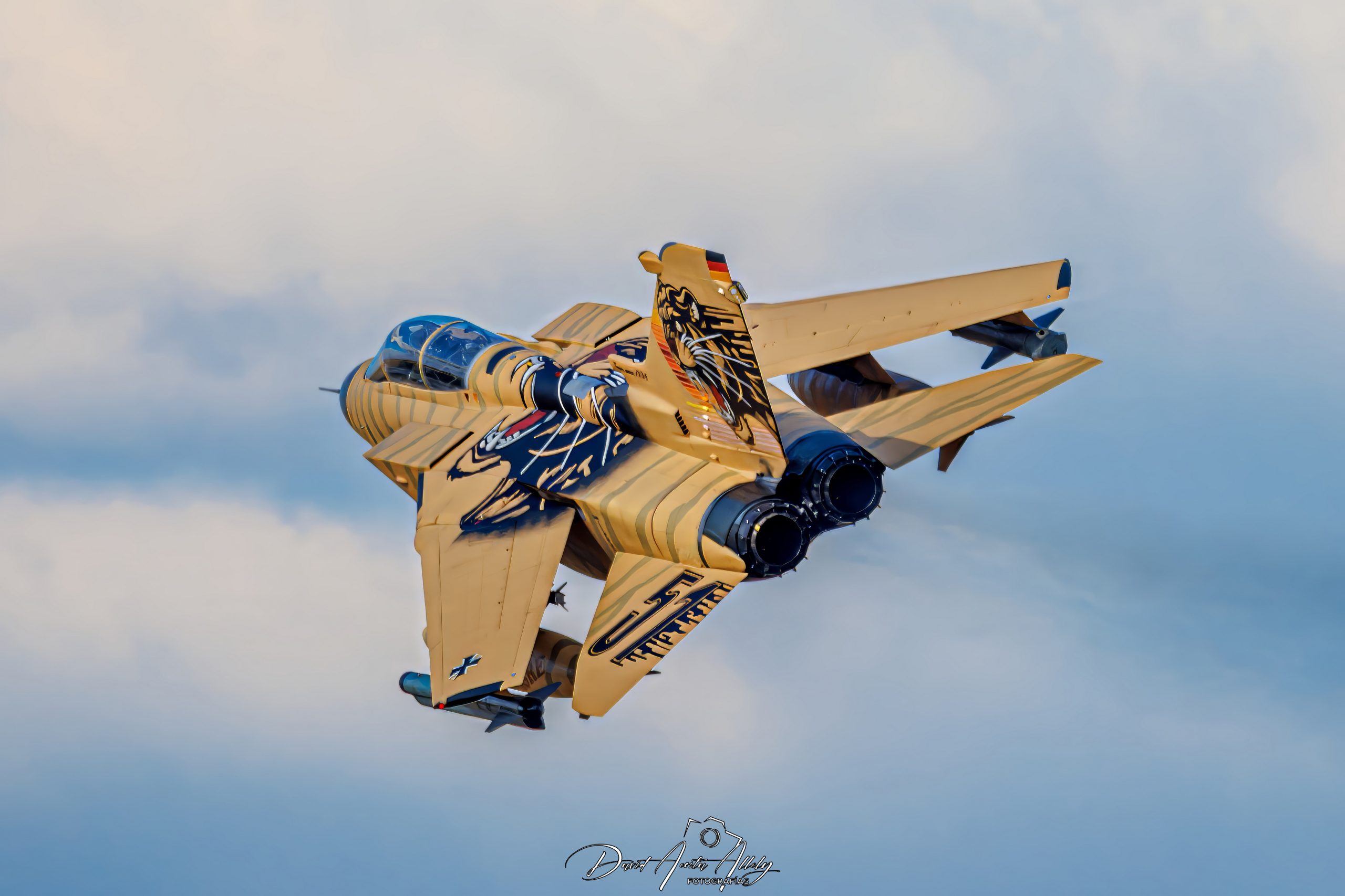 Nato Tiger Meet 2025