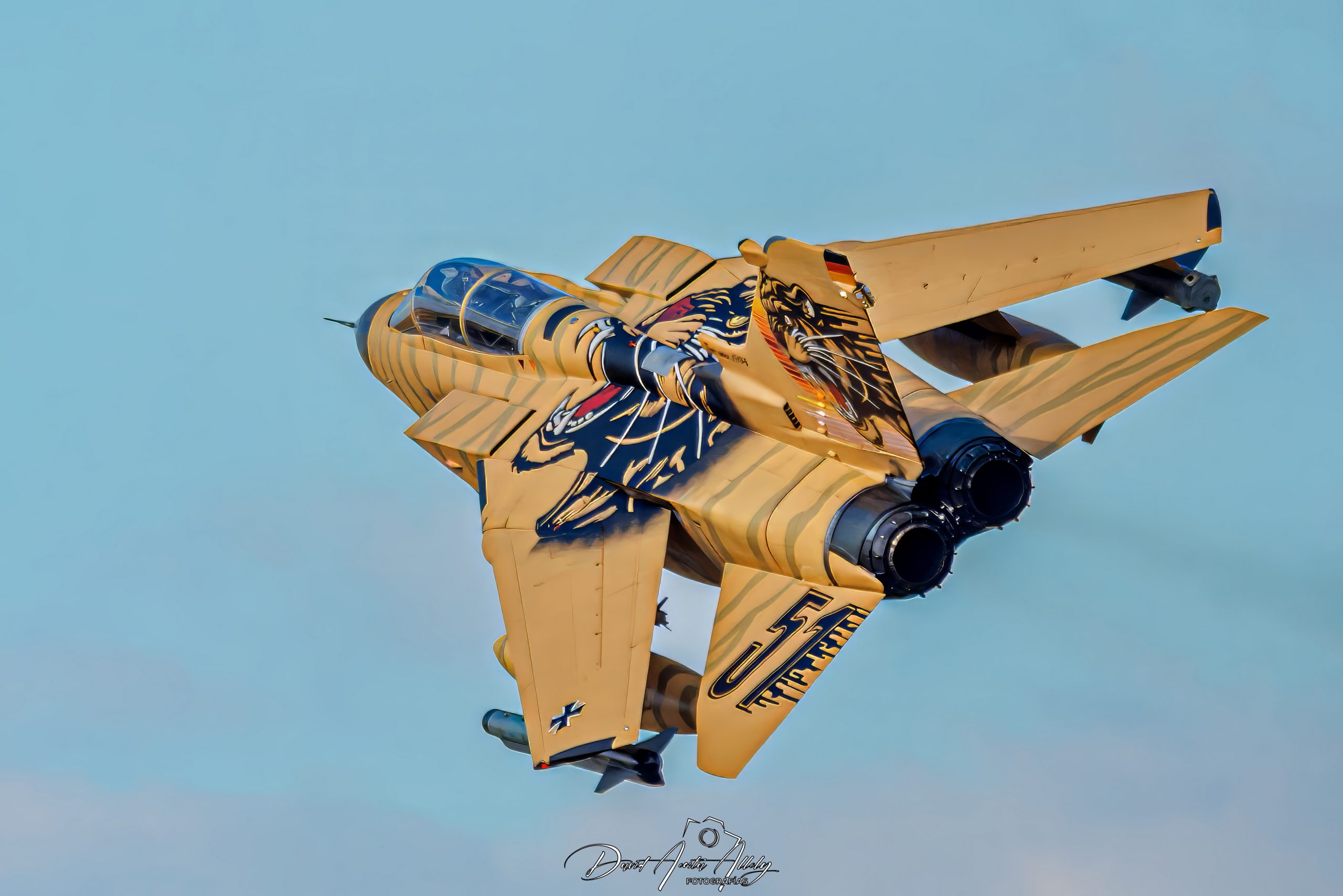 Nato Tiger Meet 2025