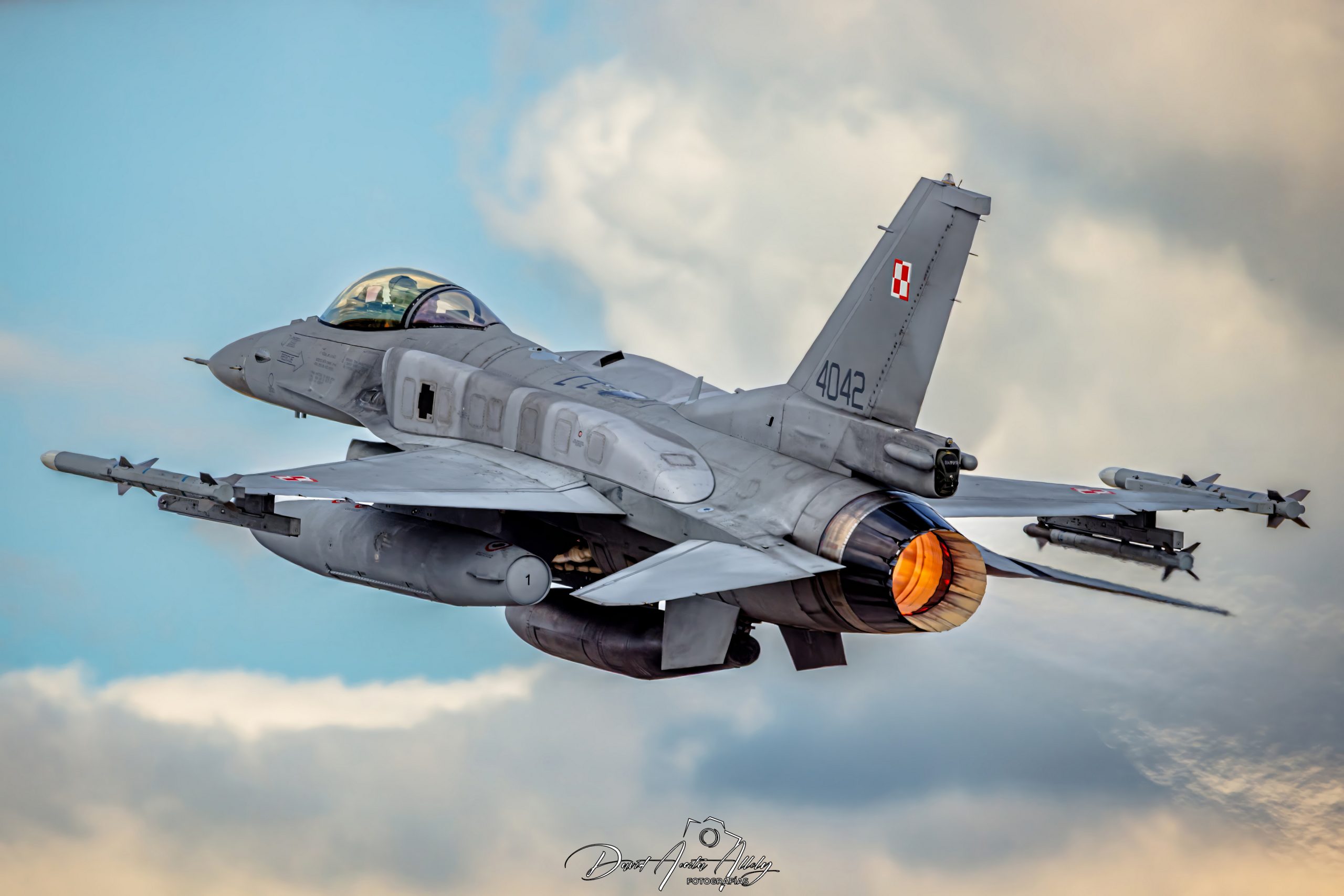 Nato Tiger Meet 2025